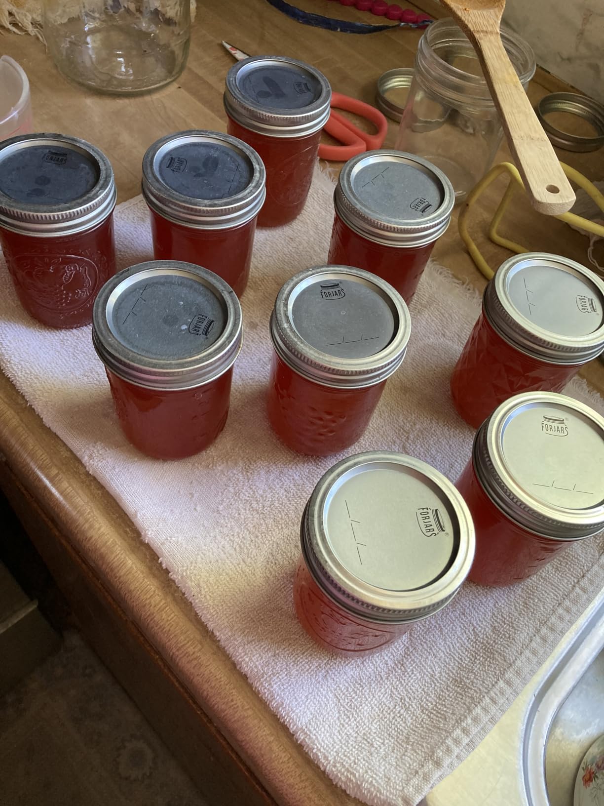 FORJARS - Canning Lids Regular Mouth, 100-Pack - Create Airtight Seals on Mason Jars to Preserve Food for Meal Prep & Food Storage - 2.7 In. Steel Lids with Silicone Seals customer photo 1