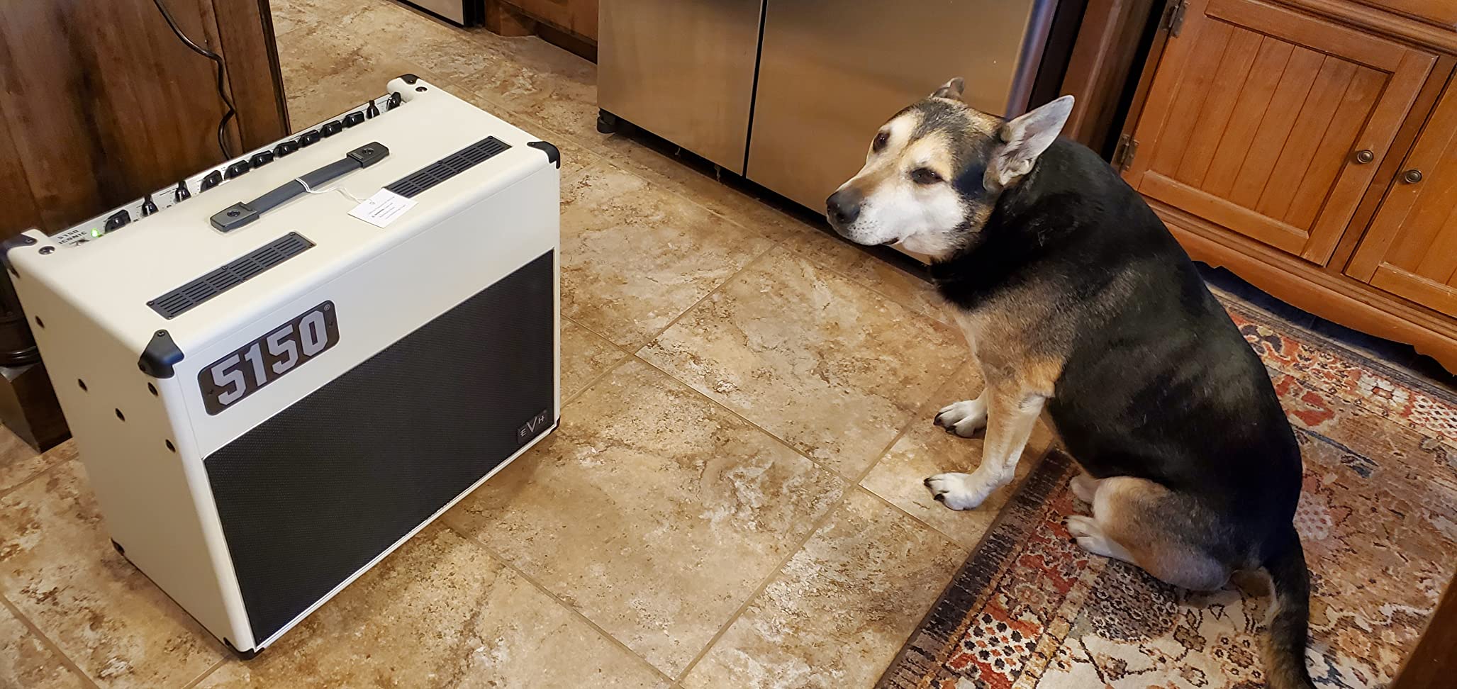 EVH 5150 ICONIC 40W Tube Combo Amp customer photo 1