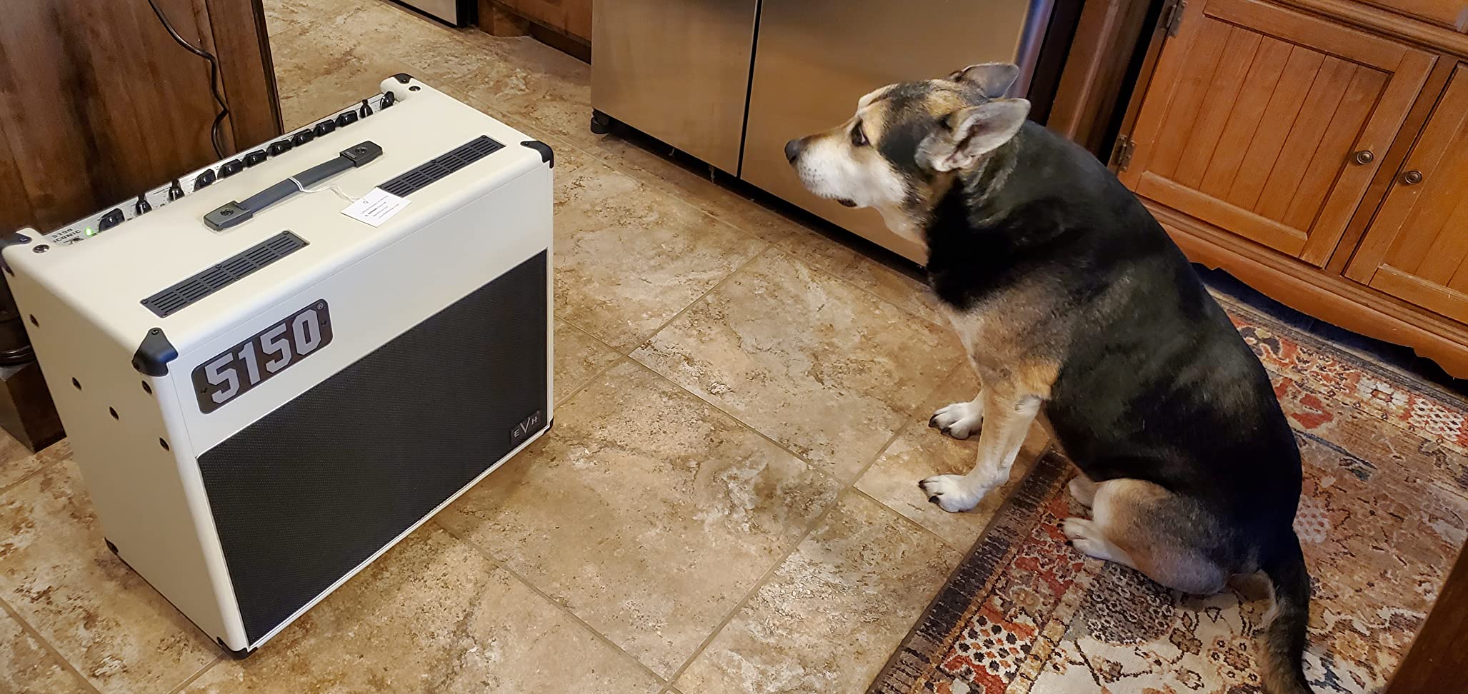 EVH 5150 ICONIC 40W Tube Combo Amp customer photo 2