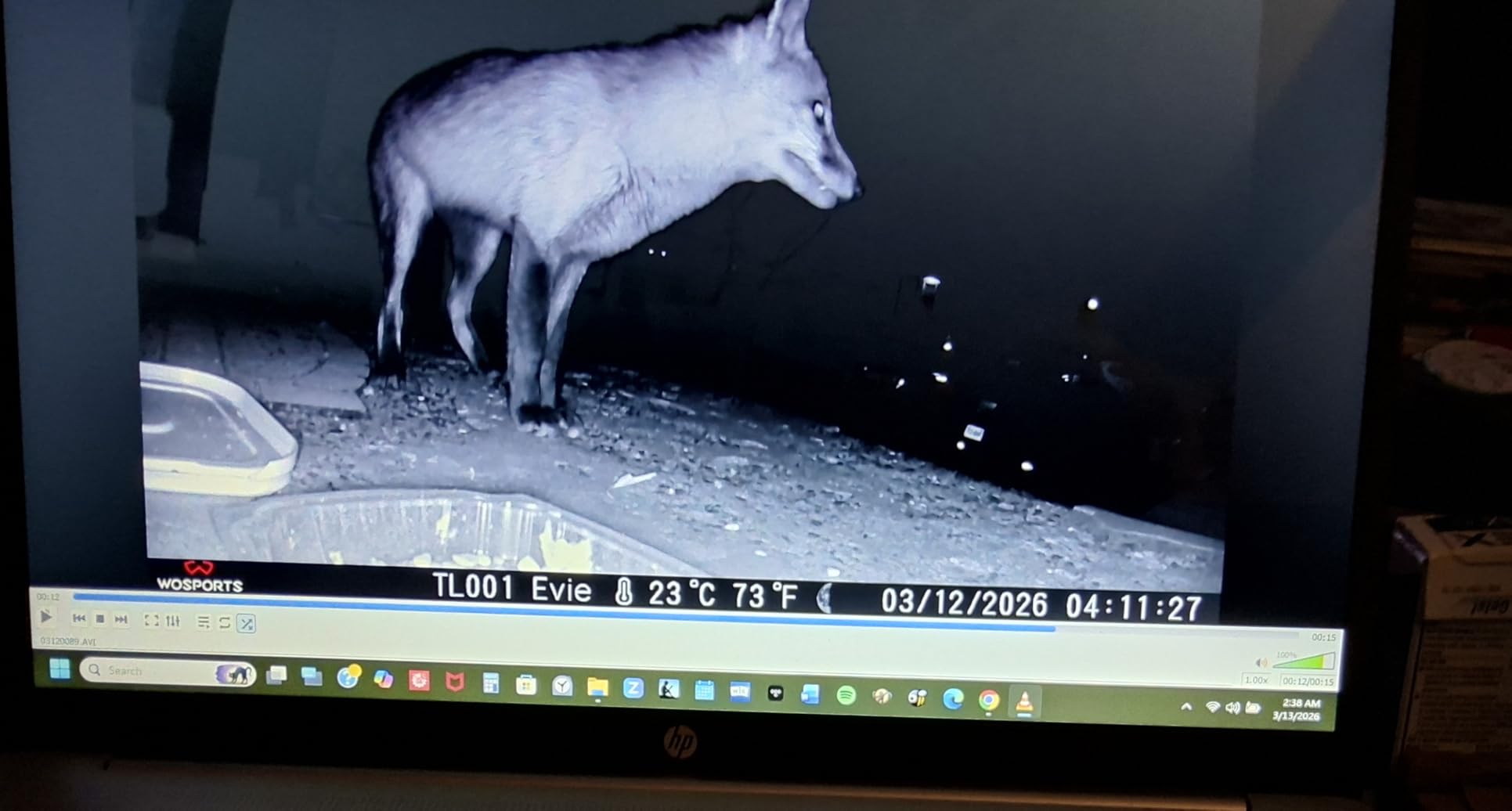 WOSPORTS Trail Camera,56MP 4K 0.2S Trigger Motion Activated,Game Camera with Night Vision IP66 Waterproof 2.0''LCD 120°Wide Trail Cam Lens for Outdoor Scouting Wildlife Monitoring Home Security customer photo 1
