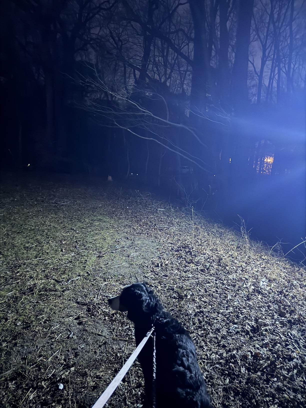 Tuffenough Solar Outdoor Lights 2500LM 210 LED Security Lights with Remote Control,3 Heads Motion Sensor Lights, IP65 Waterproof,270° Wide Angle Flood Wall Lights with 3 Modes(2 Packs) customer photo 1