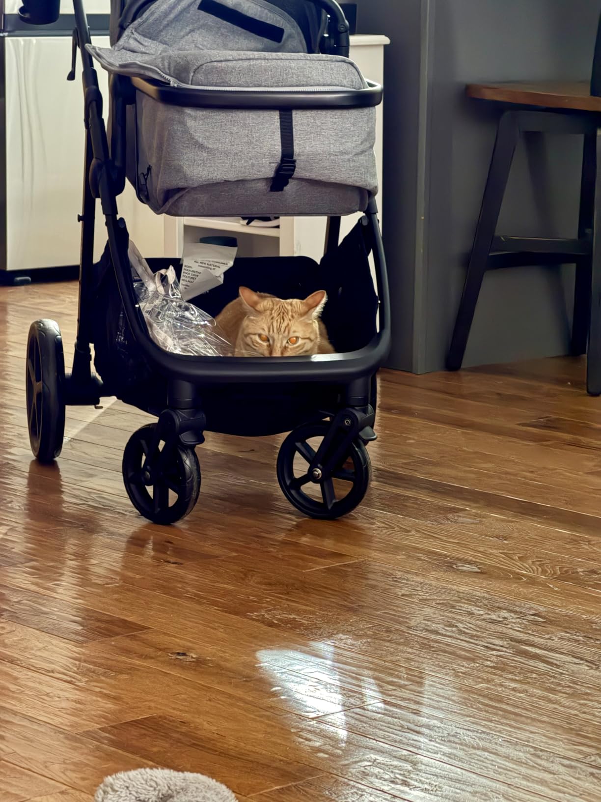 Mompush Wiz 2 in 1 Baby Stroller with Infant Pramette Mode, One Hand Fold Convertible Newborn to Toddler Stroller with Reversible Seat and Large UPF 50+ Canopy customer photo 2