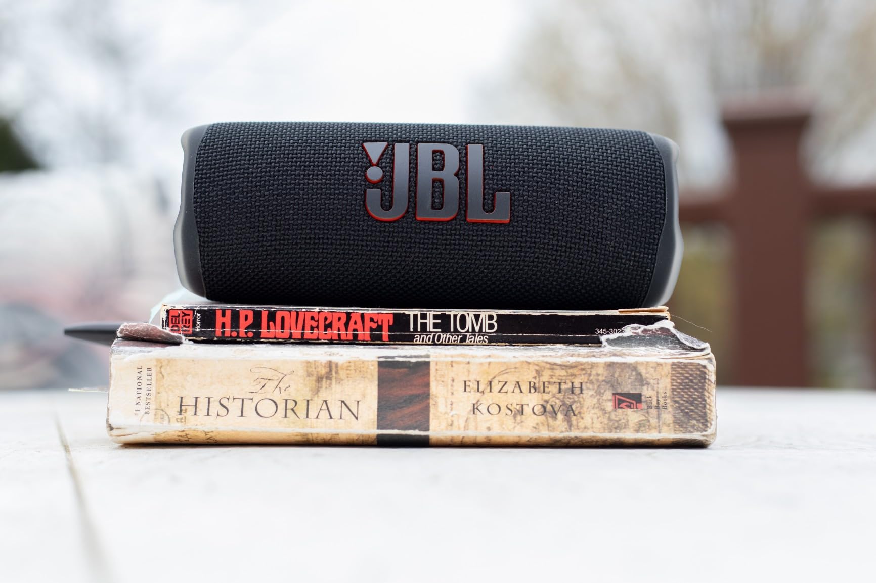JBL Flip 6 - Portable Bluetooth Speaker, powerful sound and deep bass, IPX7 waterproof, 12 hours of playtime, JBL PartyBoost customer photo 2