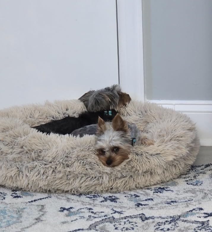 Best Friends by Sheri The Original Calming Donut Dog Bed for Medium Dogs up to 45 lbs, Lux Faux Fur, Oyster, Medium, 30