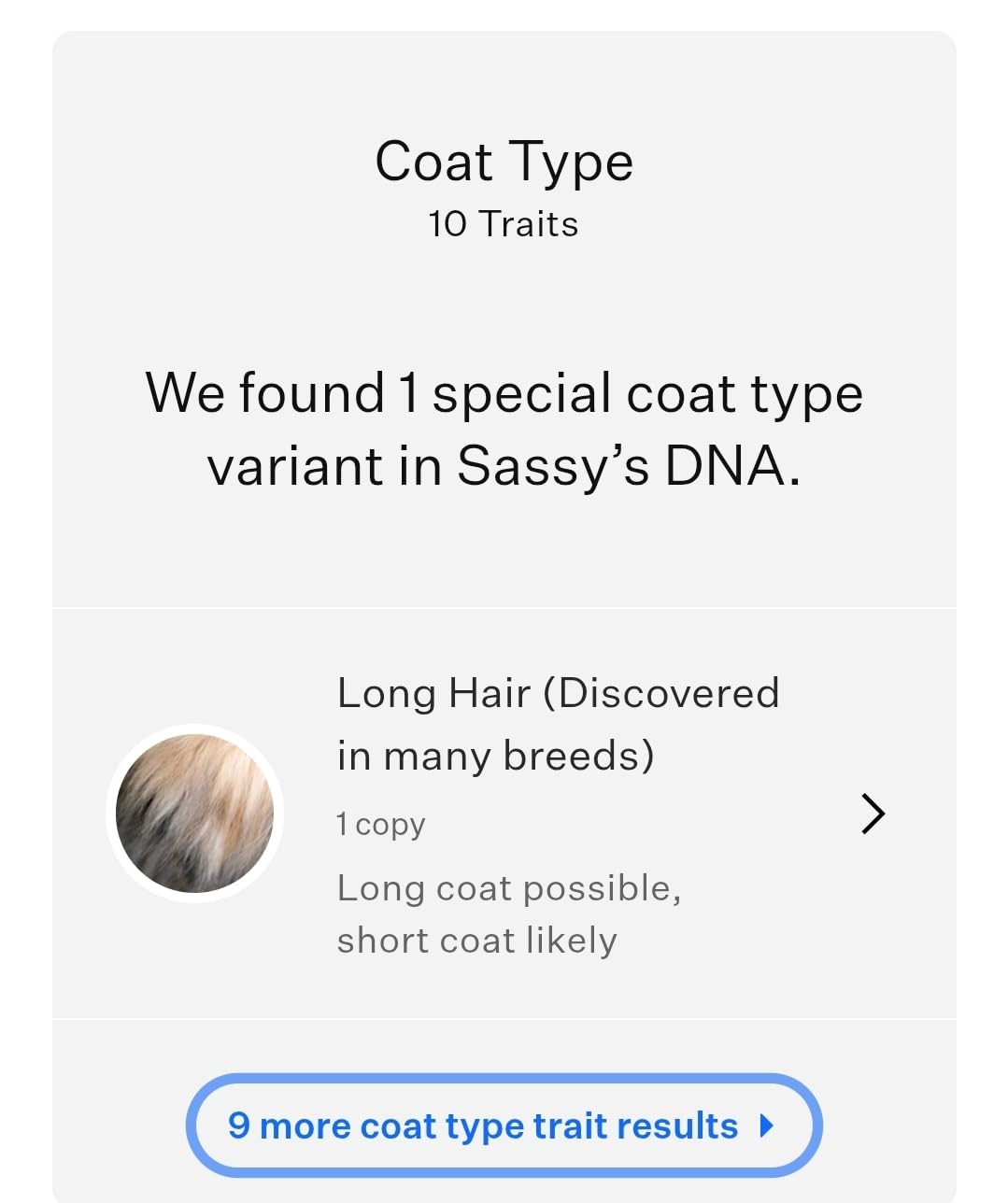 Wisdom Panel Complete: Comprehensive Cat DNA Test Kit for 45 Health Genetic Health Conditions, 70+ Breeds and Populations, 25+ Traits, Blood Type - Pack of 1 customer photo 1