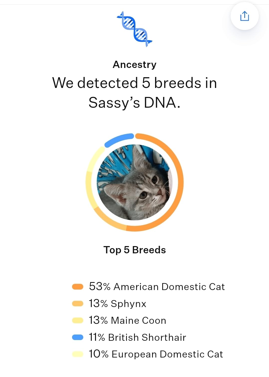 Wisdom Panel Complete: Comprehensive Cat DNA Test Kit for 45 Health Genetic Health Conditions, 70+ Breeds and Populations, 25+ Traits, Blood Type - Pack of 1 customer photo 2