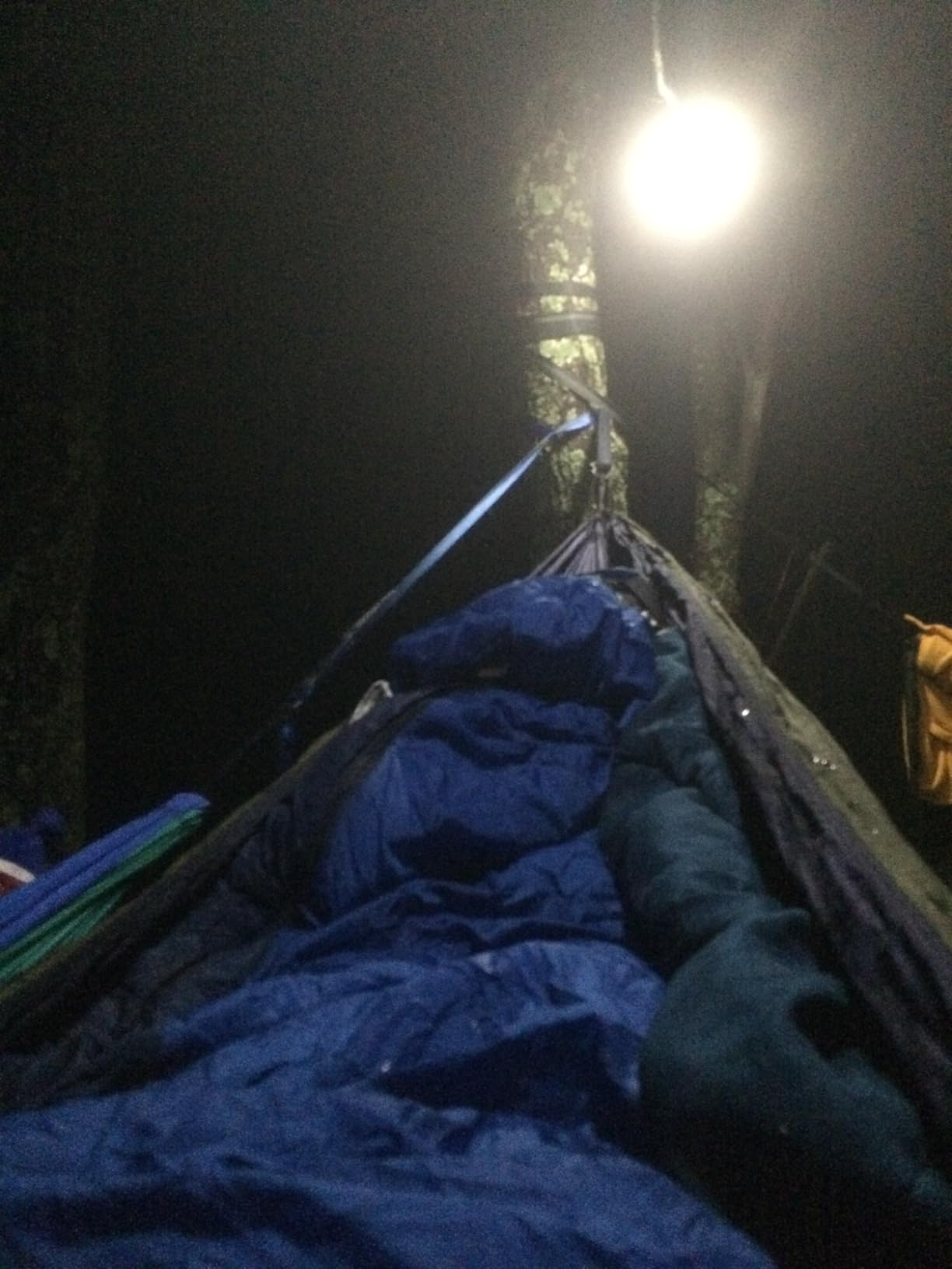 Eagles Nest Outfitters DoubleNest Lightweight Camping Hammock, 1 to 2 Person, Special Edition Colors, ATC customer photo 2