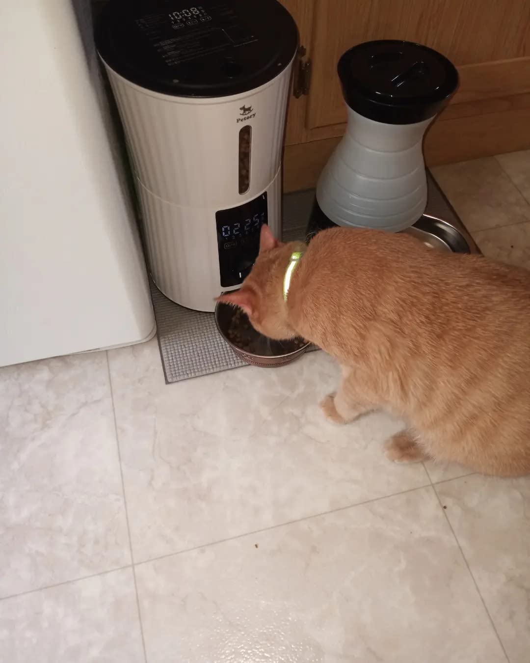 Petory Timed Automatic Cat Feeders - 4L Programable Dry Food Dispenser for Cats and Small Medium Dogs 6 Meals with Desiccant Bag Dual Power Supply 10S Voice Recorder customer photo 2