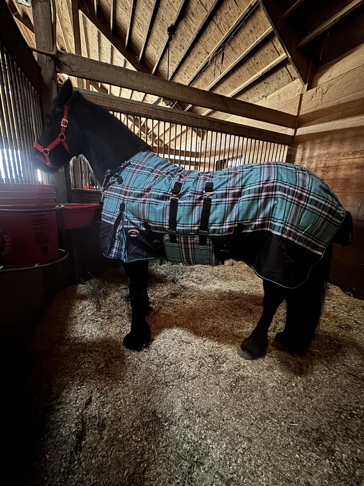 Challenger 1200D Horse Turnout Waterproof Heavy Weight Winter Blanket 598B customer photo 2