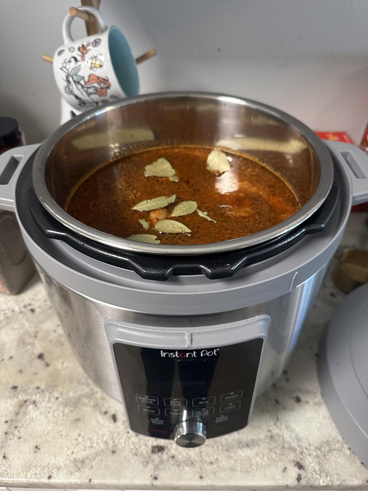 Instant Pot, 8-Quart Whisper Quiet 9-in-1 Electric Pressure Cooker, Slow Rice Cooker, Steamer, Sauté, Yogurt Maker, Warmer & Sterilizer, App With Over 800 Recipes, Stainless Steel, Duo Plus customer photo 2