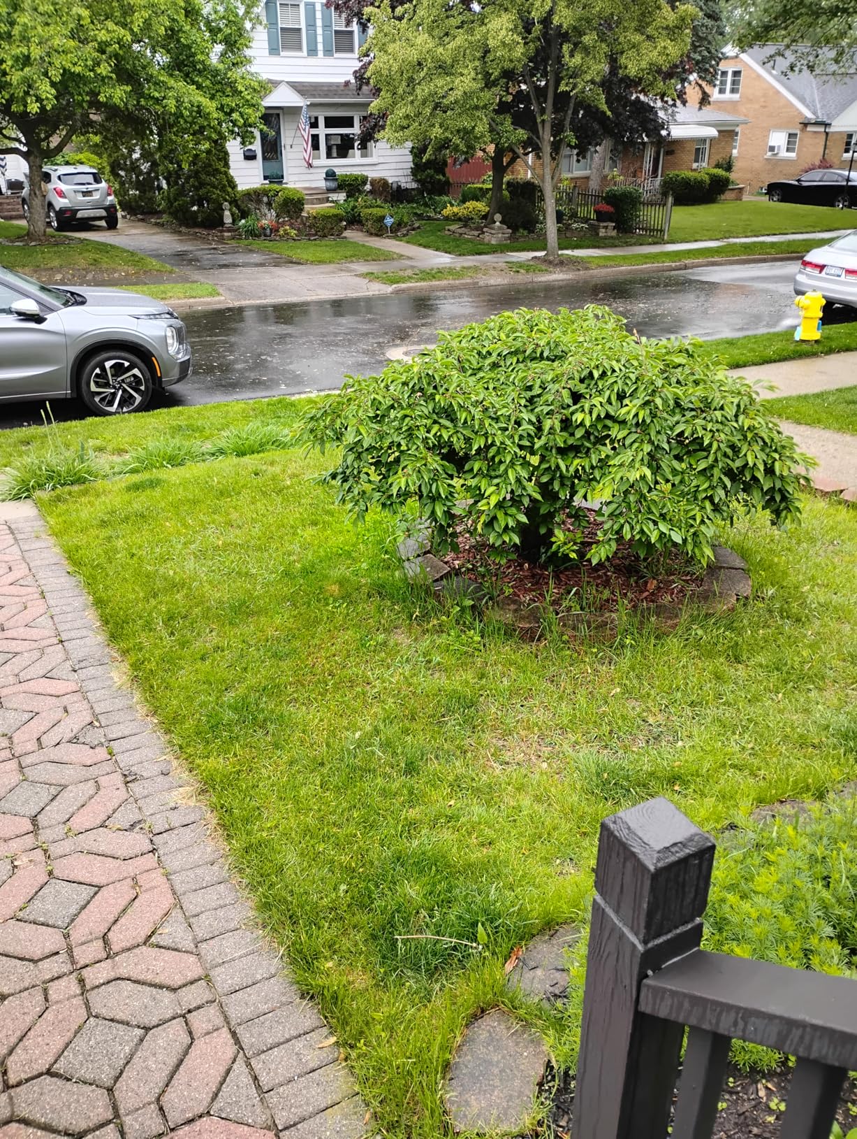 LawnMaster CLM2413A Cordless 13-Inch Lawn Mower 24V Max with 2X4.0Ah Battery and a Charger customer photo 2