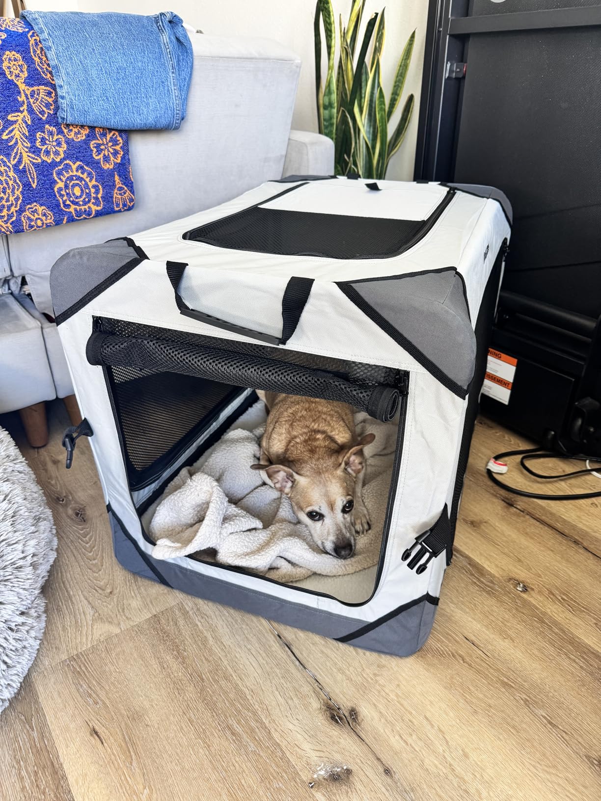 Lesure Collapsible Dog Crate - Portable Travel Kennel for Large Dog, 4-Door Pet Crate with Mesh Windows, Indoor & Outdoor, Light Gray customer photo 2