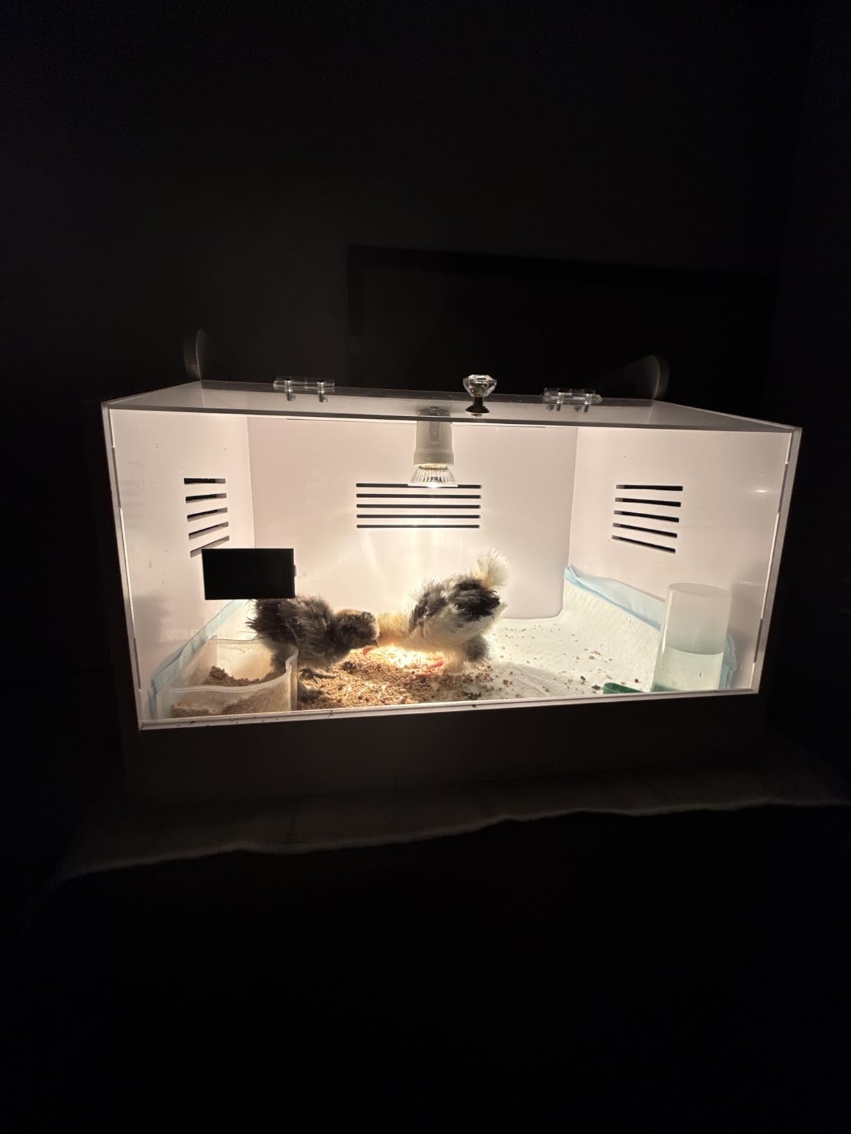 Intelligent Brooder Box 10-15 Newborns Chicks Quail Birds Small Animals Manual Incubators Poultry Heater Breeding Box customer photo 2