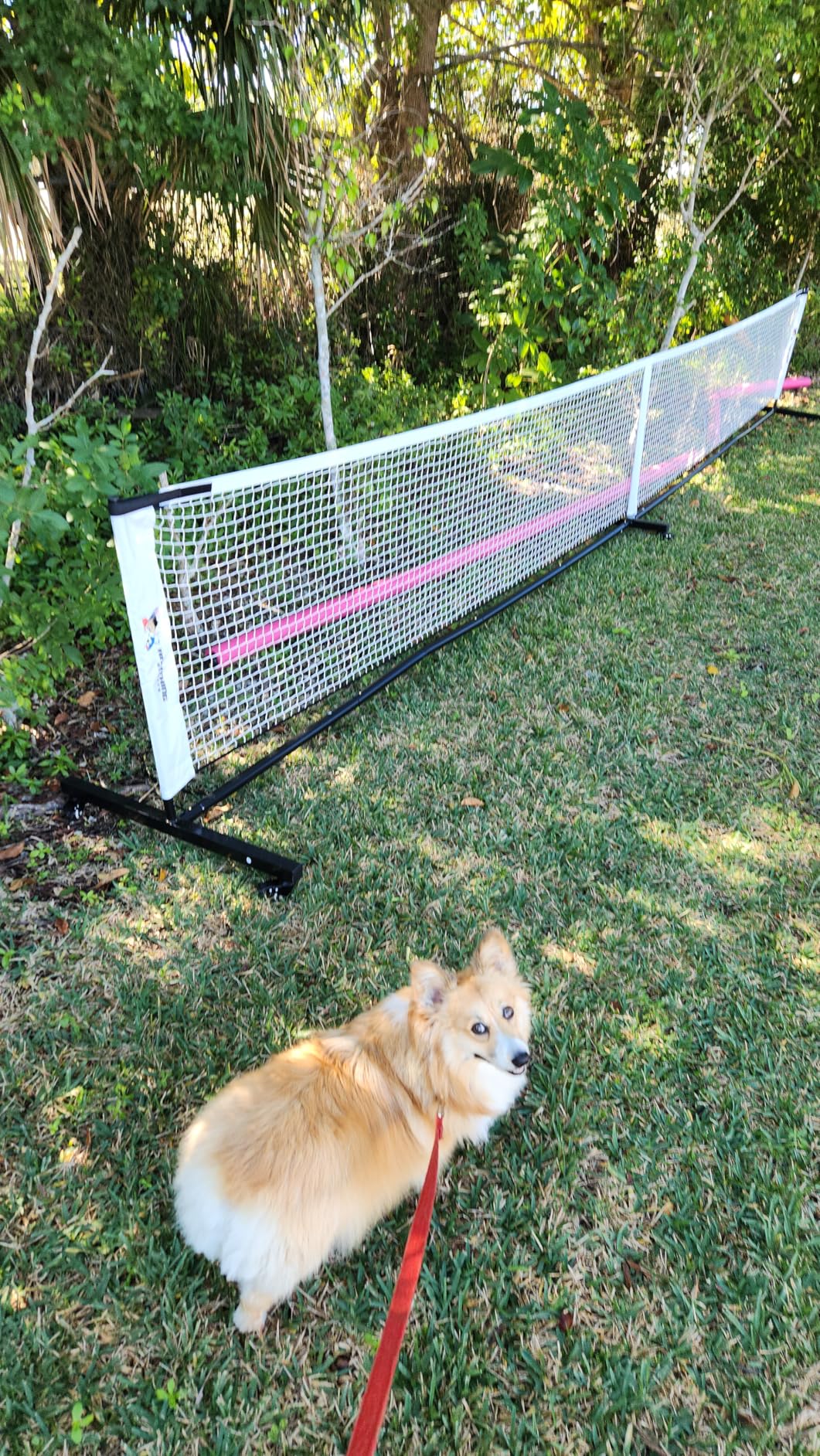 Deluxe Heavy Duty Pickleball Net with Wheels - Regulation Size Portable Net System with Lockable Wheels & Wheeled Carry Case | Tournament-Ready, Fast Setup | Backyard, Driveway, Gym & Court Use customer photo 1