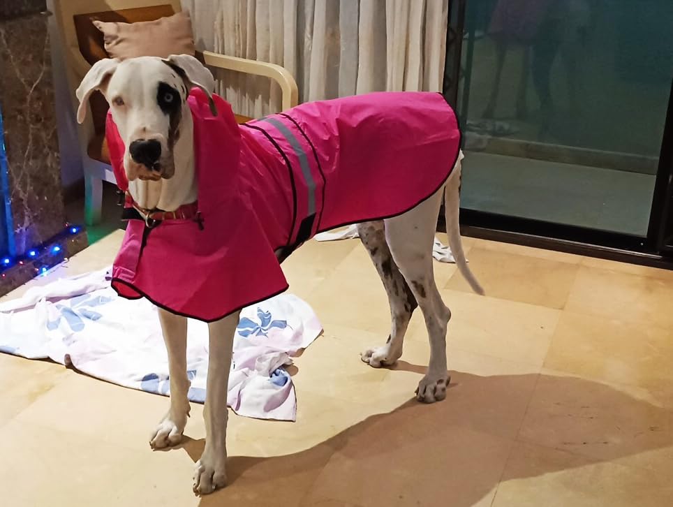 Reflective Dog Rain Coat - Waterproof Adjustable Pet Rain Jacket, Lightweight Dog Hooded Poncho Raincoat for Small to X-Large Dogs and Puppies customer photo 1