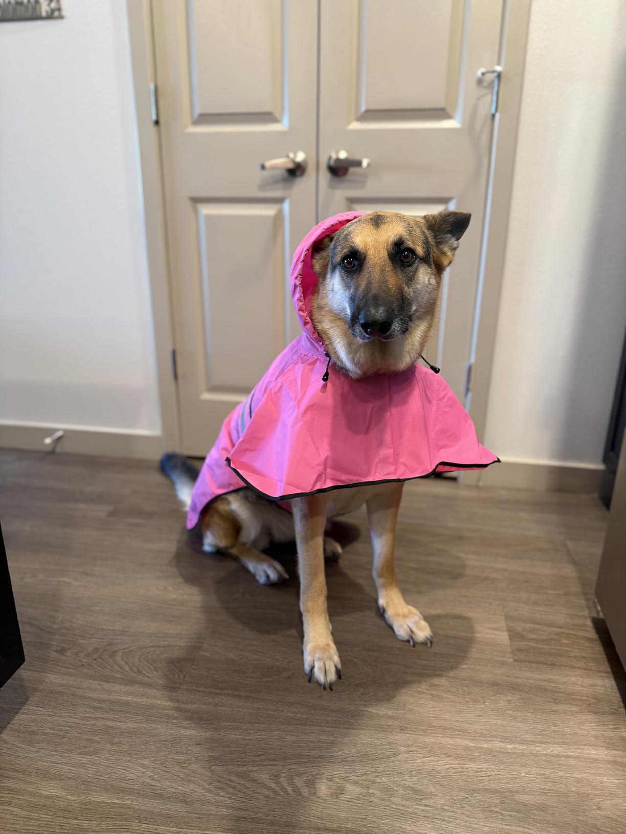 Reflective Dog Rain Coat - Waterproof Adjustable Pet Rain Jacket, Lightweight Dog Hooded Poncho Raincoat for Small to X-Large Dogs and Puppies customer photo 2
