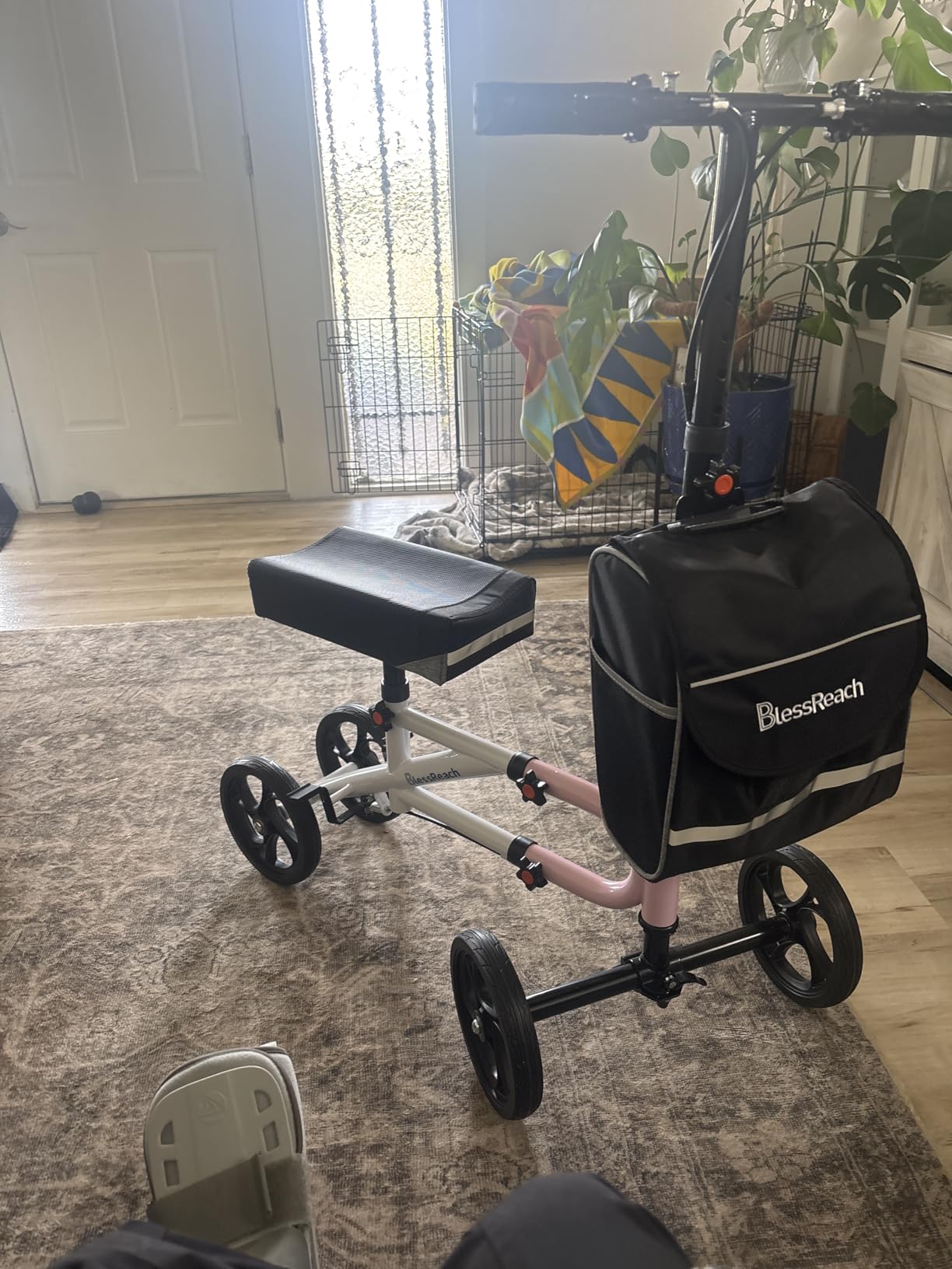 Knee Scooter, Knee Scooter for Adults for Foot Surgery, Knee Walker for Foot Injuries Compact Crutch Alternative with Dual Braking System (Blue) customer photo 2