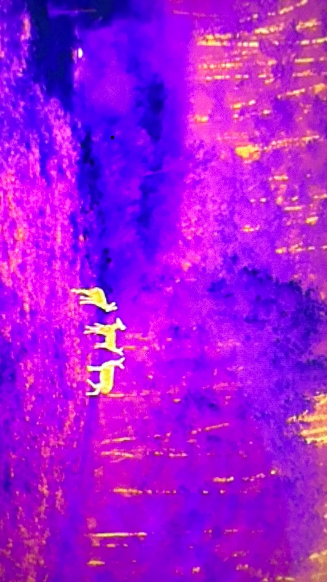 Autel Robotics EVO II Dual 640T V3, 640x512 Thermal Imaging Drone, Remote ID Supported, 0.8'' CMOS & 50MP 8K RYYB Sensor, 10+ Temp Measurement, DRI Ranges, for Search & Rescue/Power Inspection customer photo 2