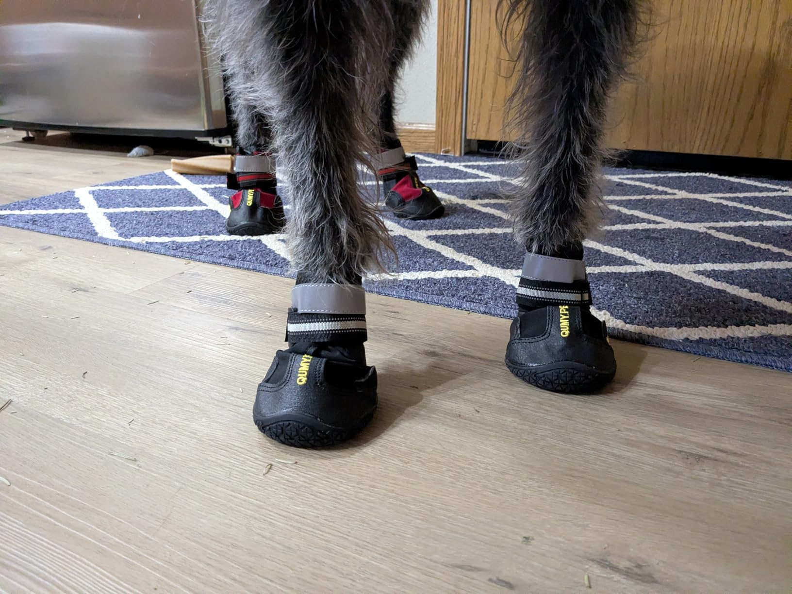 QUMY Dog Shoes for Large Dogs, Medium Dog Boots & Paw Protectors for Winter Snowy Day, Summer Hot Pavement, Water-Resistant in Rainy Weather, Outdoor Walking, Indoor Hardfloors Skid-Resistant Sole customer photo 2