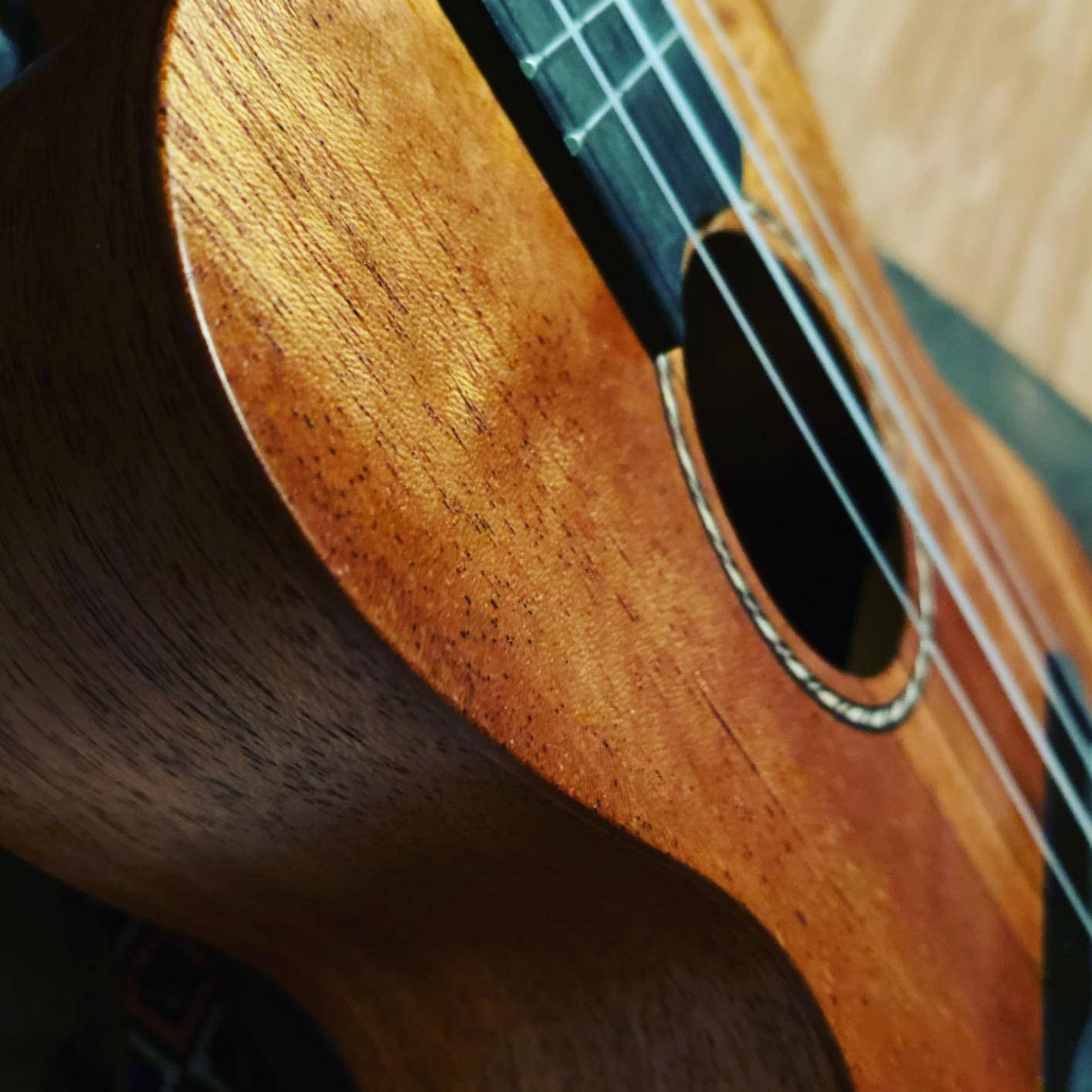 Donner Soprano Ukulele Mahogany 21 inch Ukelele Beginner Kit Online Lesson Gig Bag Strap Nylon String Tuner Picks Cloth DUS-1 Ukalalee Set customer photo 2