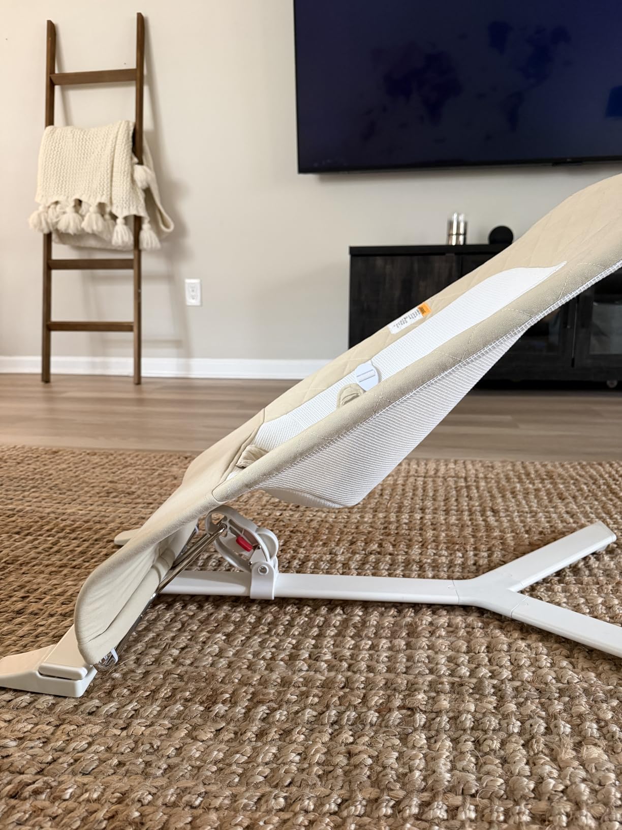 Baby Delight Alpine Wave Deluxe Infant Swing | Automated Motion Baby Lounger Seat | Infants 0-6 Months | Driftwood Grey customer photo 1
