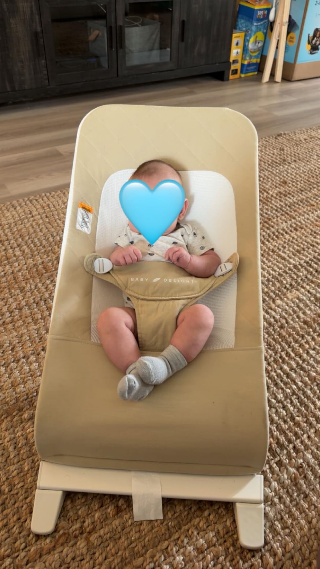 Baby Delight Alpine Wave Deluxe Infant Swing | Automated Motion Baby Lounger Seat | Infants 0-6 Months | Driftwood Grey customer photo 2