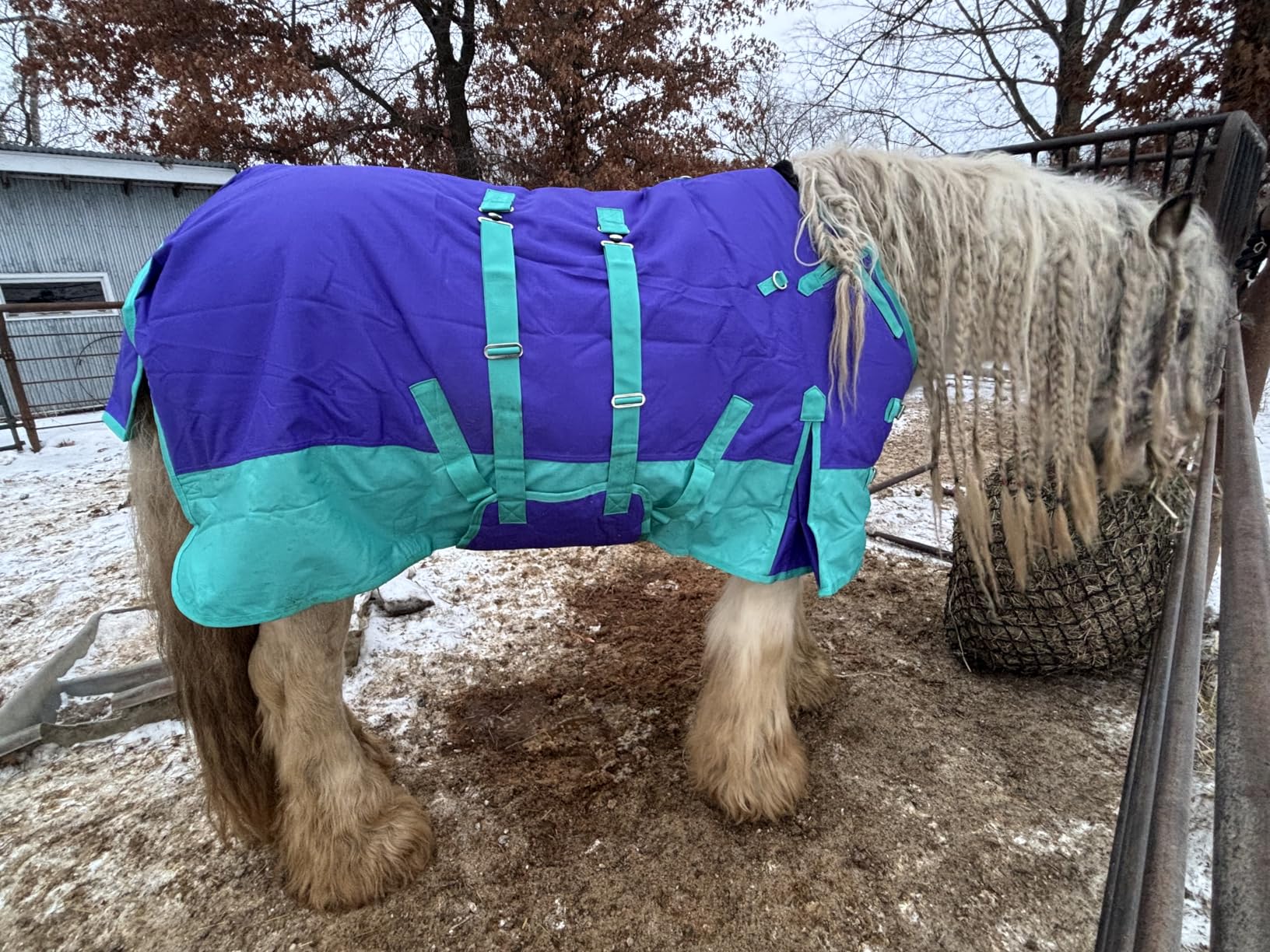 HILASON 1200D Winter Waterproof Poly Horse Blanket Belly Wrap customer photo 1