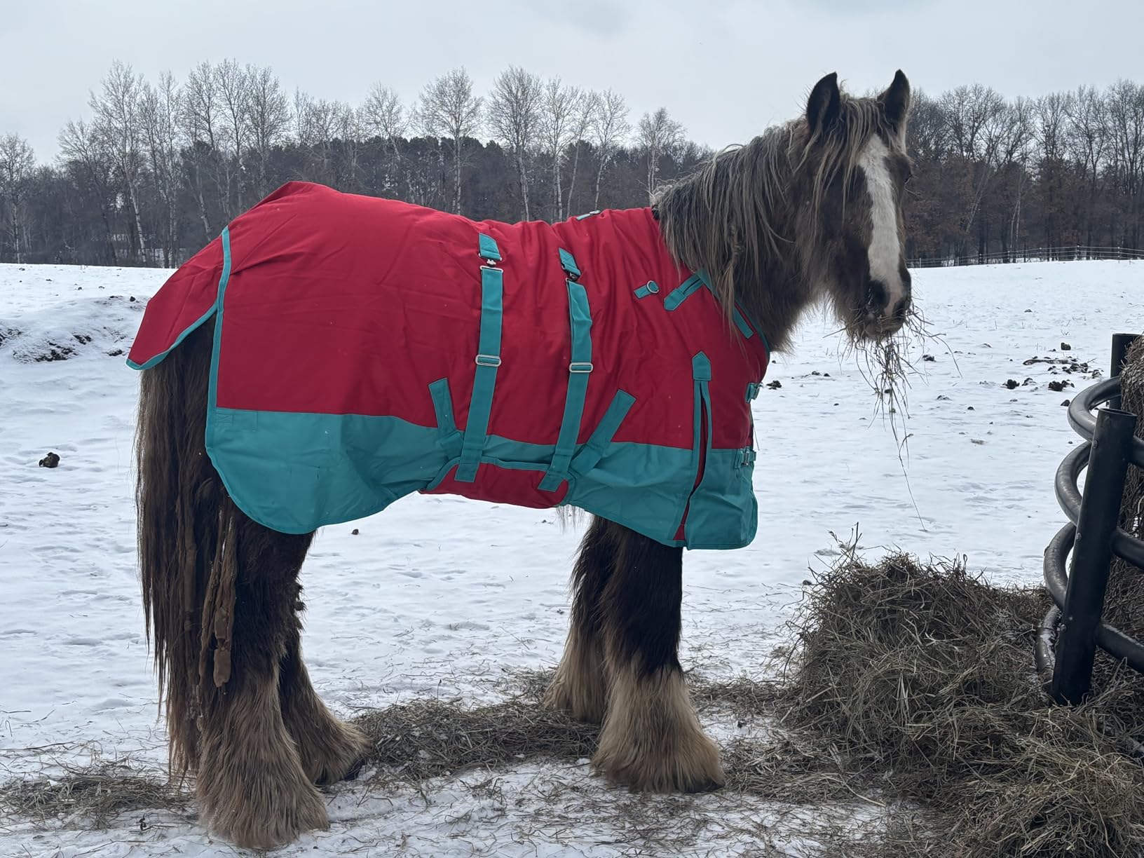 HILASON 1200D Winter Waterproof Poly Horse Blanket Belly Wrap customer photo 2