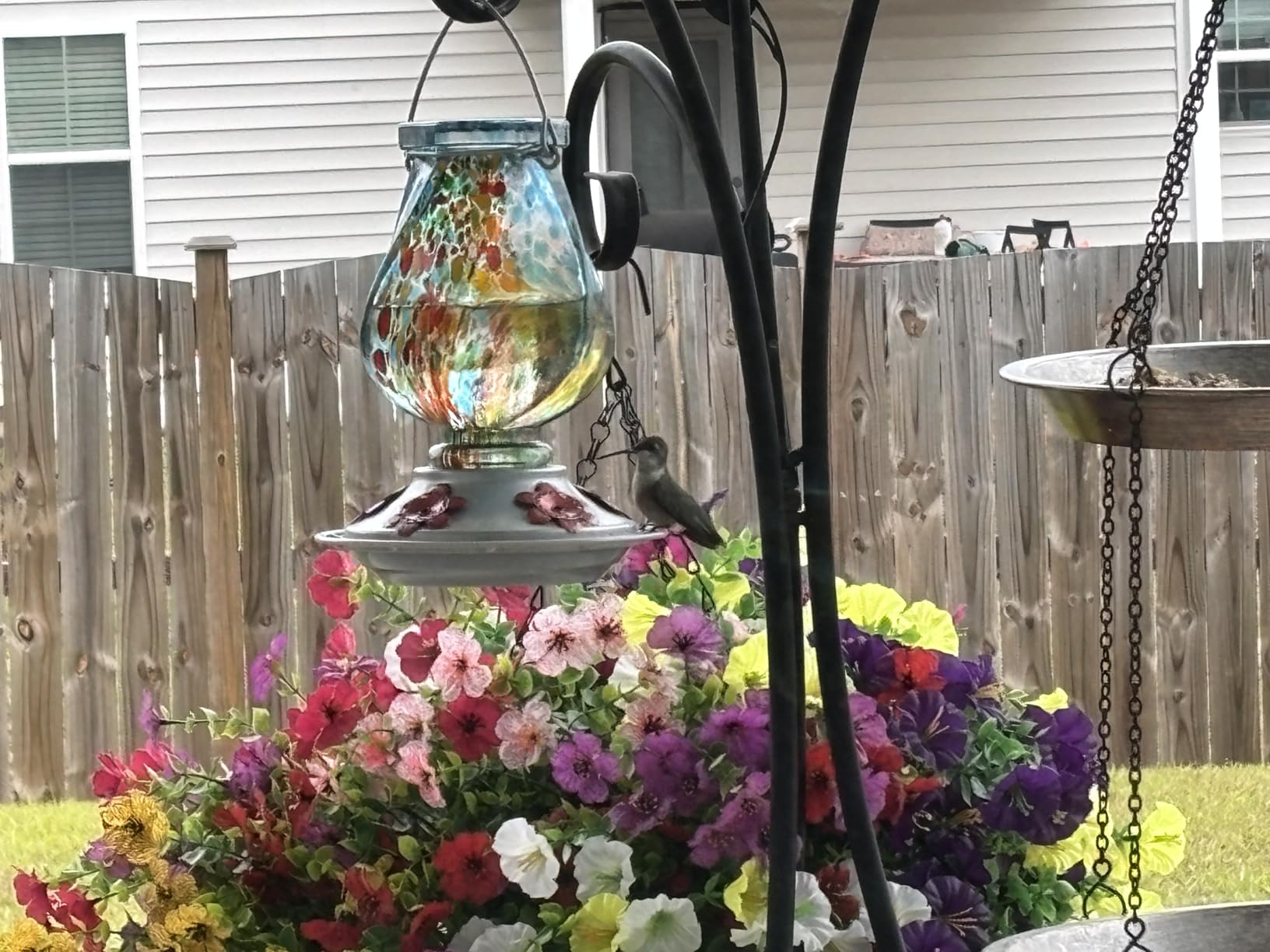 BOLITE Hummingbird Feeder, Hand Blown Glass Hummingbird Feeders for Outdoors Hanging with Ant Moat, 5 Bee-Proof Ports, Leak-Proof, 360 Perch, 22oz, Red, Gifts for Women Men, Gifts for Mom Dad customer photo 2