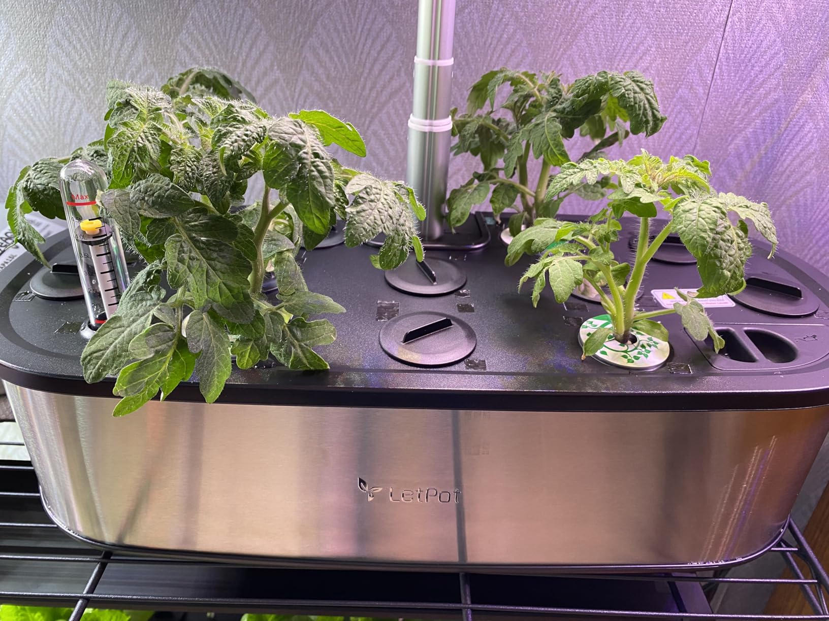 LETPOT LPH-SE Hydroponics Growing System, 12 Pods Smart Herb Garden Kit Indoor, APP & WiFi Controlled customer photo 1