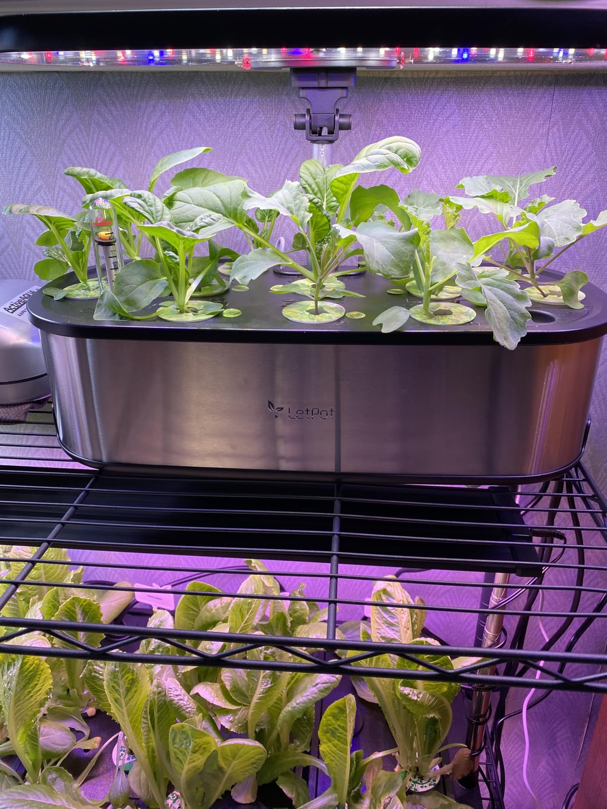 LETPOT LPH-SE Hydroponics Growing System, 12 Pods Smart Herb Garden Kit Indoor, APP & WiFi Controlled customer photo 2