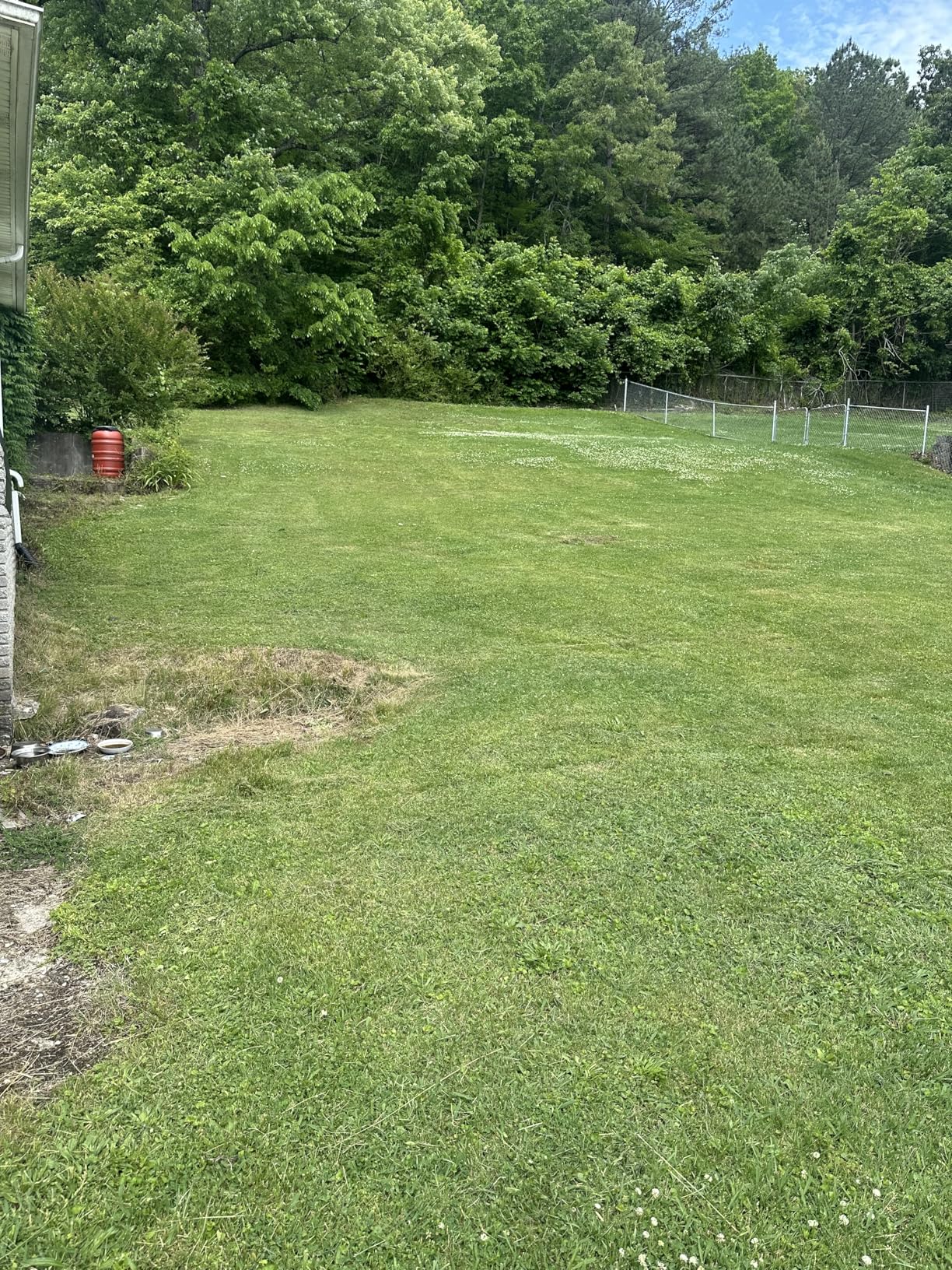 EGO POWER+ Electric Lawn Mower, Cordless Push, Includes 56V 6.0Ah Battery And 320W Charger - LM2114 customer photo 1