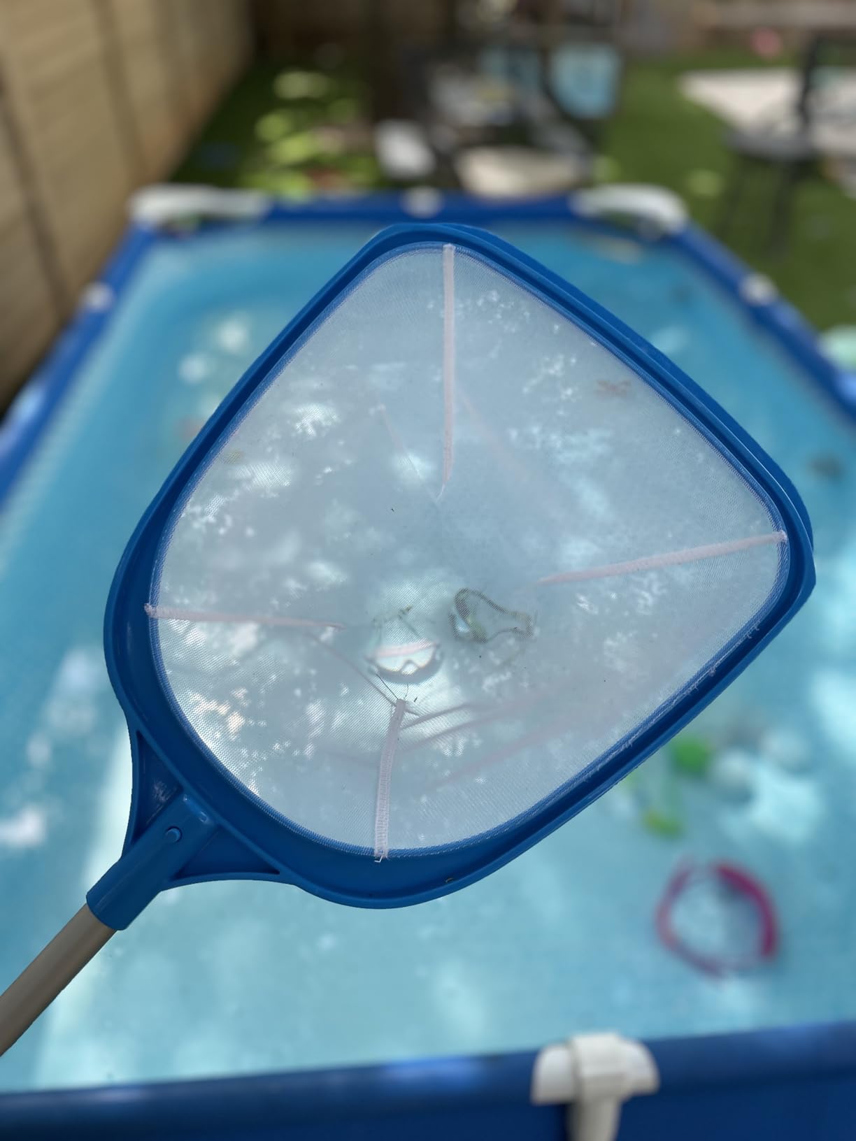 TidyMister Pool Skimmer Net with Self-Repair Fine Nylon Mesh Bag, Pool Leaf Rake for Above Ground Pools & In-ground Pools, Pool Nets for Cleaning - Original Series(No Pole) customer photo 1