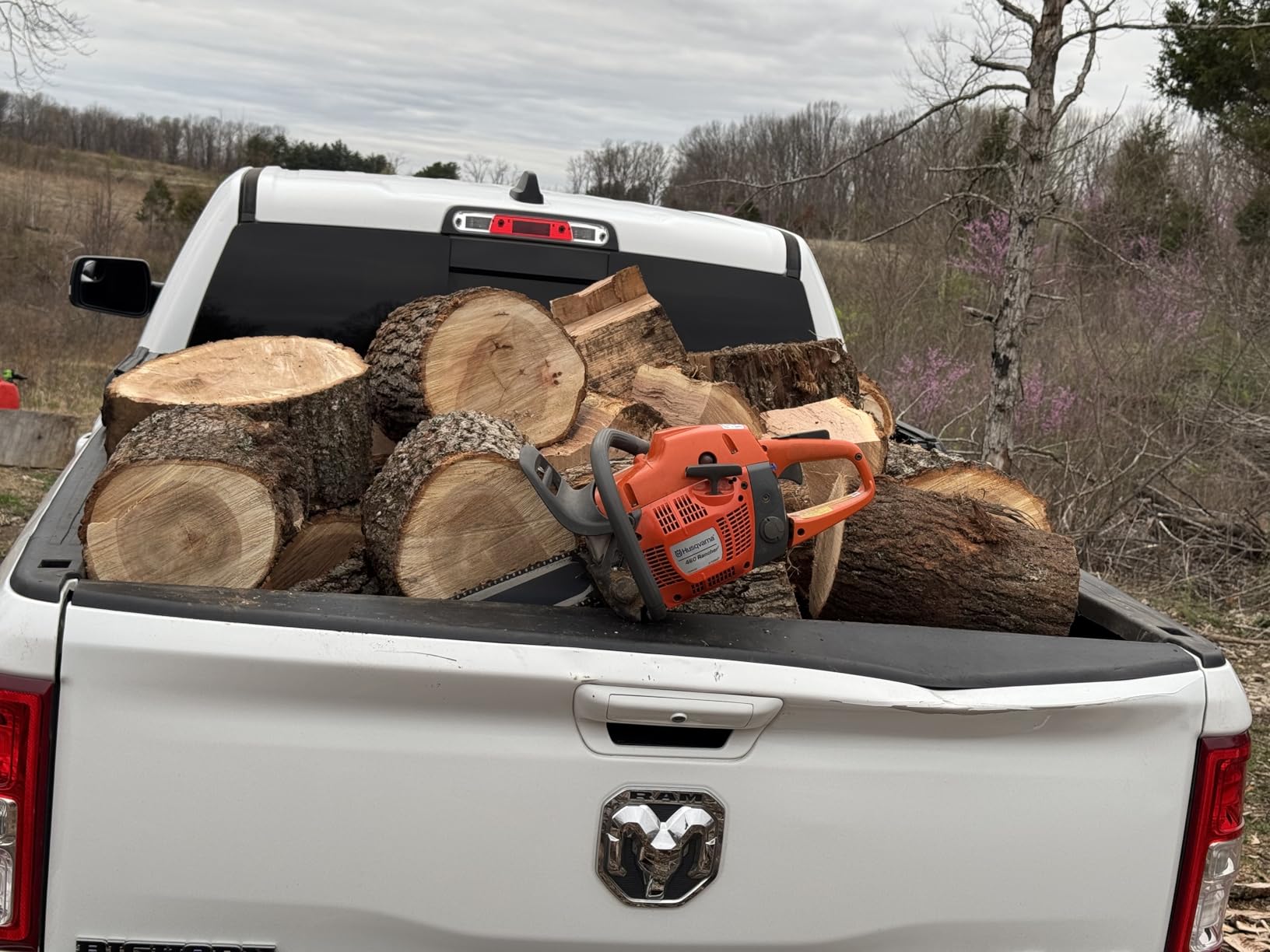 Husqvarna 460 Rancher Gas Powered Chainsaw, 60.3-cc 3.6-HP, 2-Cycle X-Torq Engine, 24 Inch Chainsaw with Automatic Adjustable Oil Pump customer photo 1