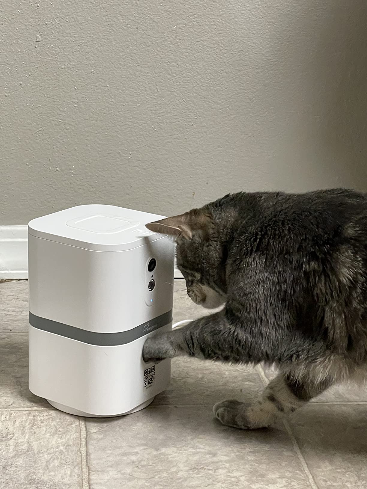 Petalk AI II Dog Camera Automatic Treat Dispenser, 5G WiFi Full HD Pet Camera with 180 Pan Full-Room View, Night Vision, Two Way Audio for Dogs and Cats, Compatible with Alexa (Support 5G WiFi) customer photo 1