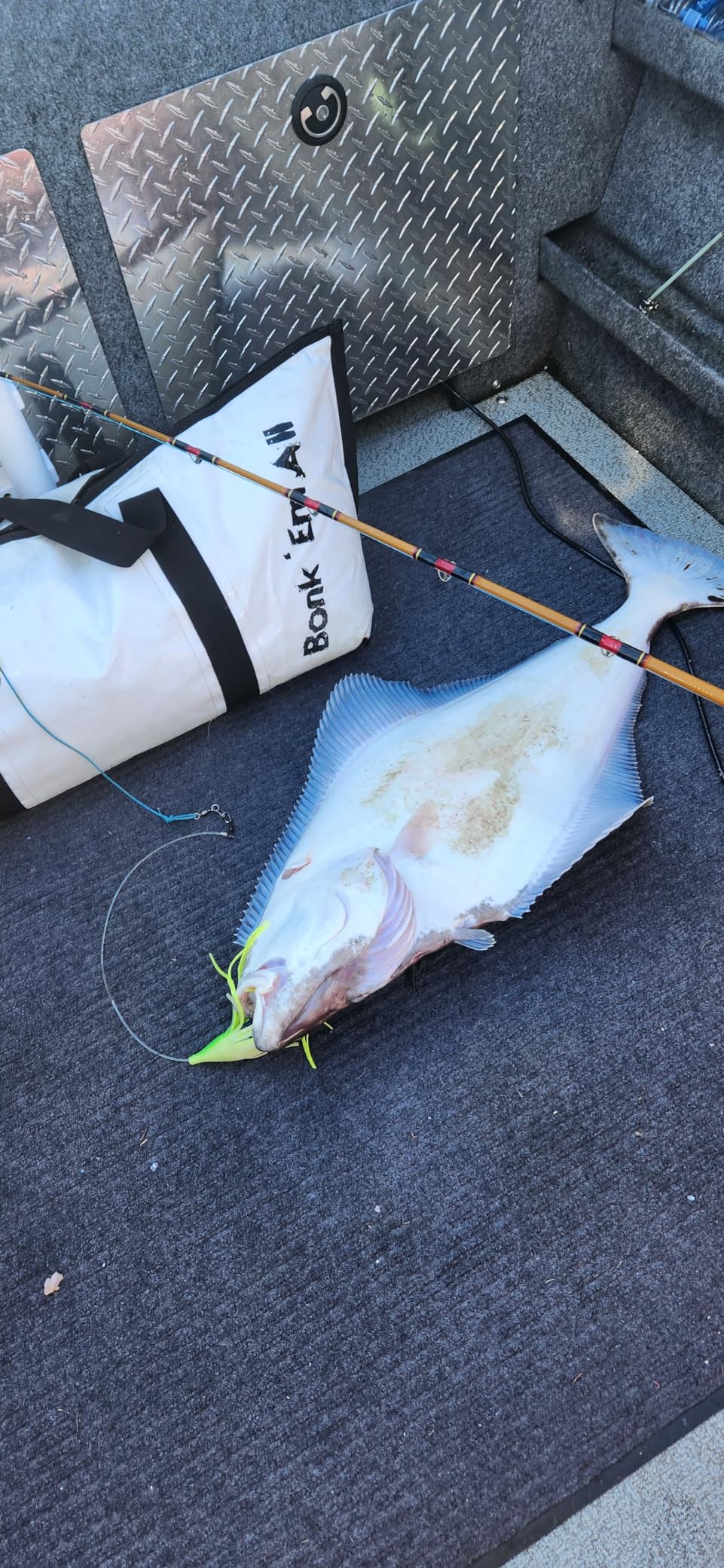 Daiwa Tanacom 800 Power Assist Electric Reel customer photo 1