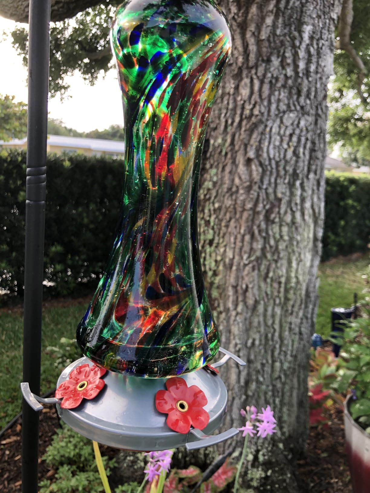 Glass Hummingbird Feeder for Outdoors: Leak Proof Hanging Hummingbirds Present for Women - Ant Moat & Hang Hook Included, Metal Base with 4 Feeding Ports & Perch, 20 Fluid Oz, Best Garden Decor customer photo 1