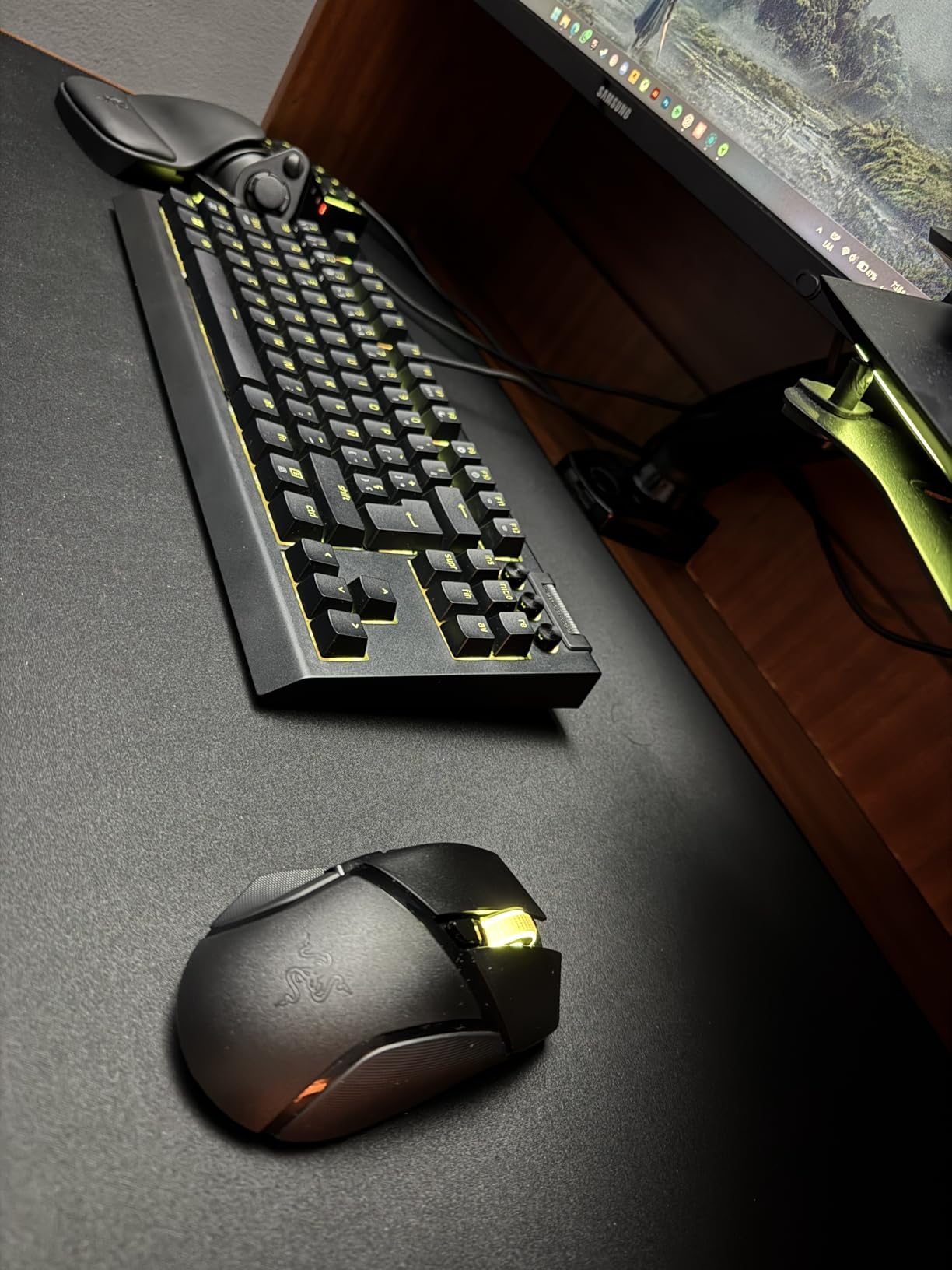 Razer Basilisk V3 X HyperSpeed Customizable Wireless Gaming Mouse: Mechanical Switches Gen-2, 18K Optical Sensor, Chroma RGB, 9 Programmable Controls, 285 Hr Battery - Classic Black customer photo 2