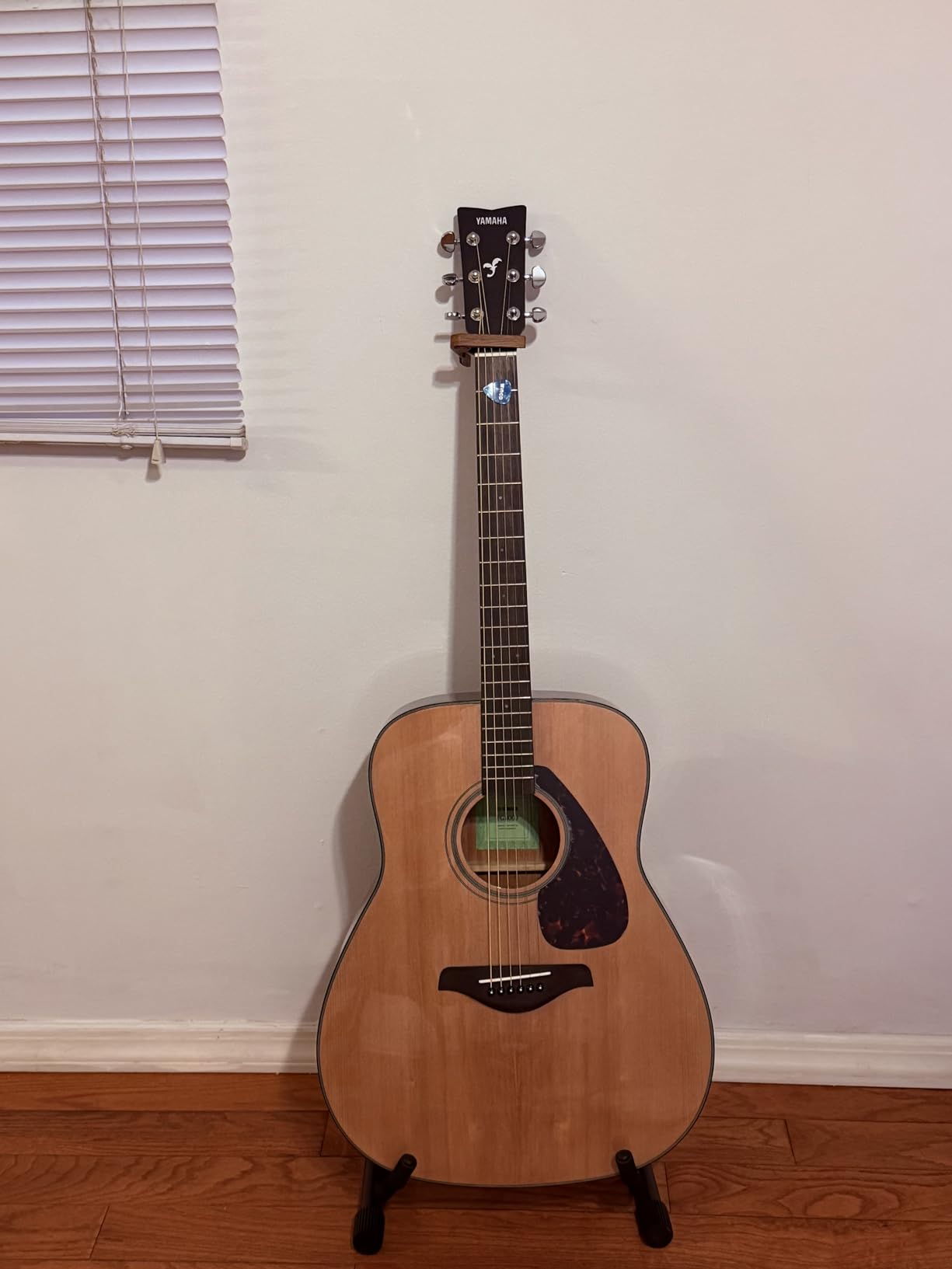 YAMAHA FG800J Solid Top Acoustic Guitar, Dreadnought customer photo 1