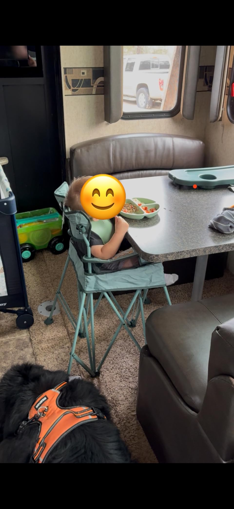 Baby Delight Go with Me Uplift Deluxe Portable High Chair | Travel High Chair | Sun Canopy | Indoor and Outdoor | Elephant Grey customer photo 1