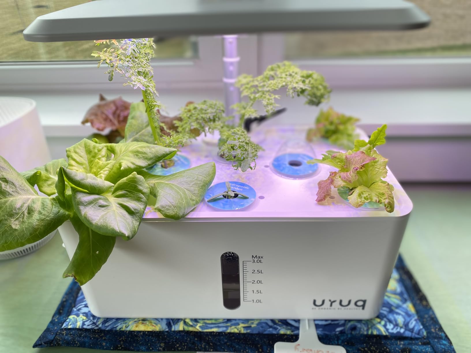 Hydroponics Growing System Indoor Garden: 8 Pods Herb Garden Kit Indoor with LED Grow Light customer photo 1