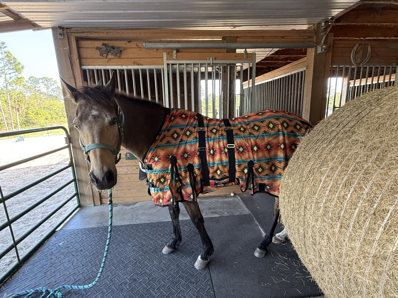 Challenger Horse Mesh Fly Sheet Lightweight Breathable Summer Spring Sheet Belly customer photo 1