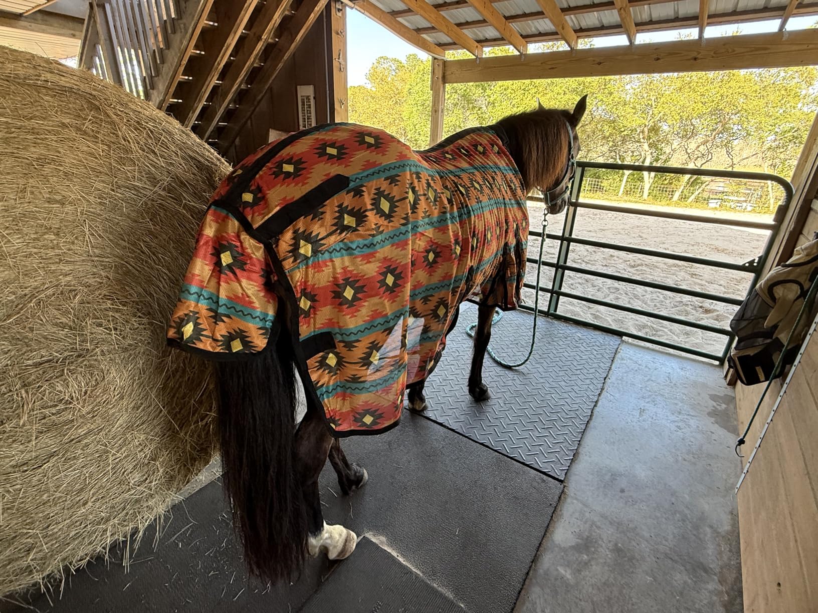 Challenger Horse Mesh Fly Sheet Lightweight Breathable Summer Spring Sheet Belly customer photo 2