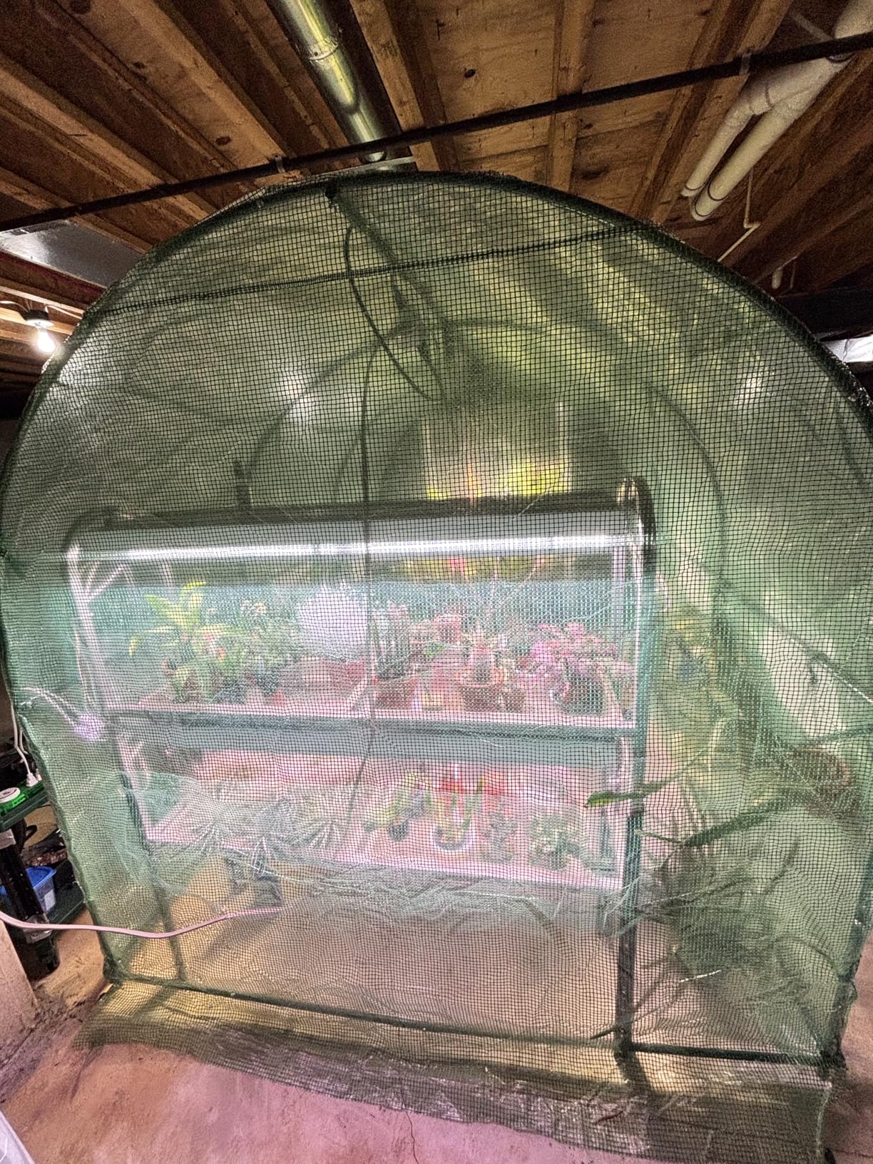 10×7×7 FT Greenhouses for Outdoors Heavy Duty, Large Walk in Green Houses for Outside with 6 Ventilated Mesh Windows & Roll-up Door & Reinforced Frame customer photo 1