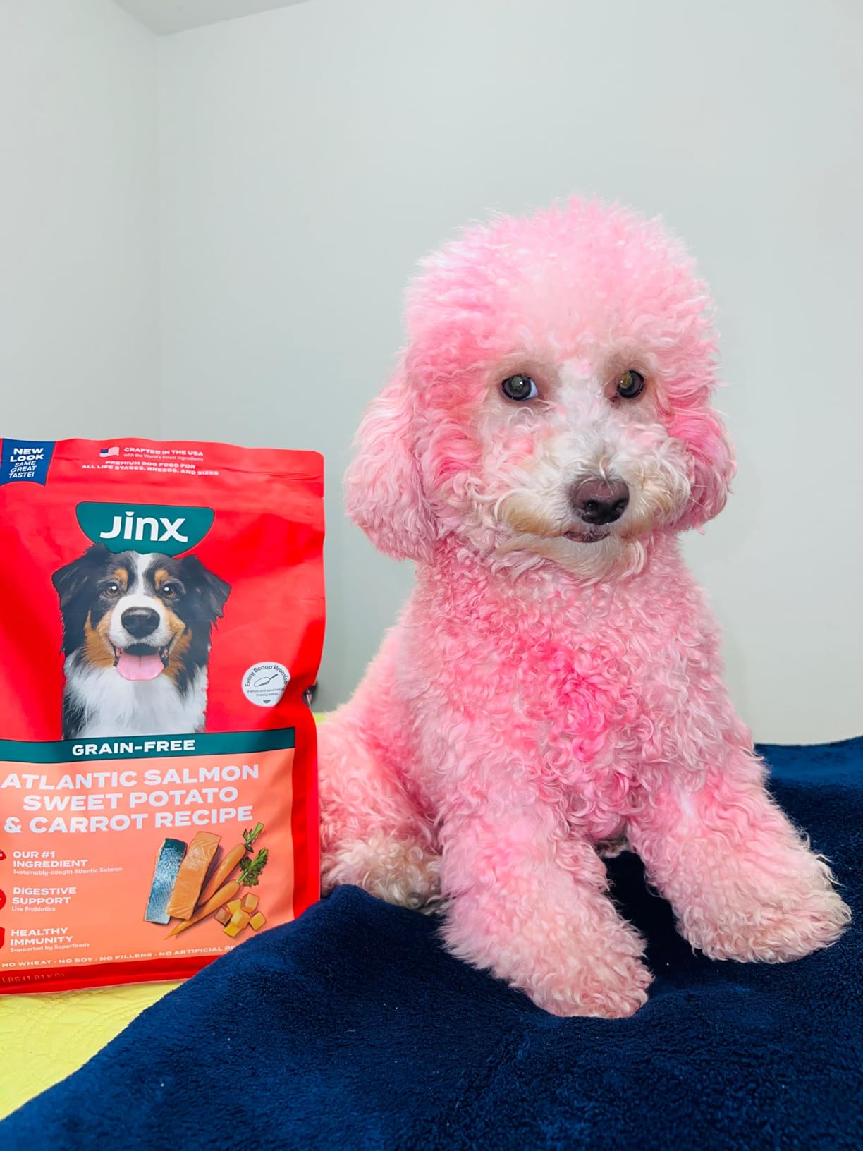 Jinx Premium Grain-Free Dry Dog Food, for All Lifestages - Real Salmon, Sweet Potato & Carrot Puppy Kibble with Superfoods for Immune Support & Probiotics for Digestive Support - No Fillers - 4lb customer photo 2