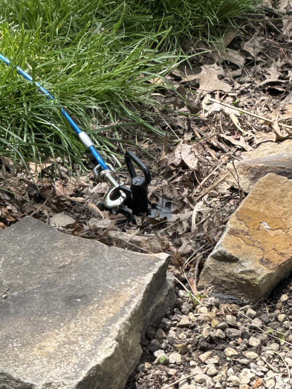 SELEWARE Dog Tie Out Stake Outdoor Anti-Rust Ground Anchor for Large Dogs up to 220 lbs, Free Swivel Dog Stake Dog Camping Gear Twist Rod Included customer photo 1