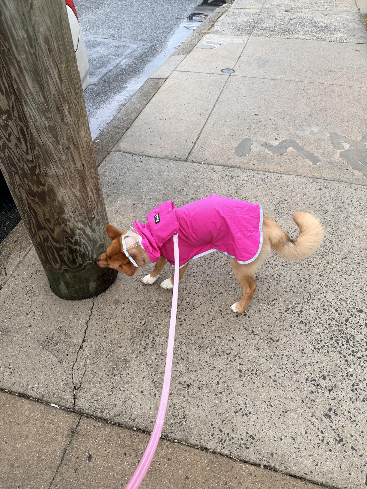 Lukovee Dog Raincoat, Adjustable Dog Rain Jacket with Clear Hooded Double Layer for Large Medium Small Dogs Puppies, Waterproof Rain Coat Poncho with Reflective Storage Pocket & Rim customer photo 1