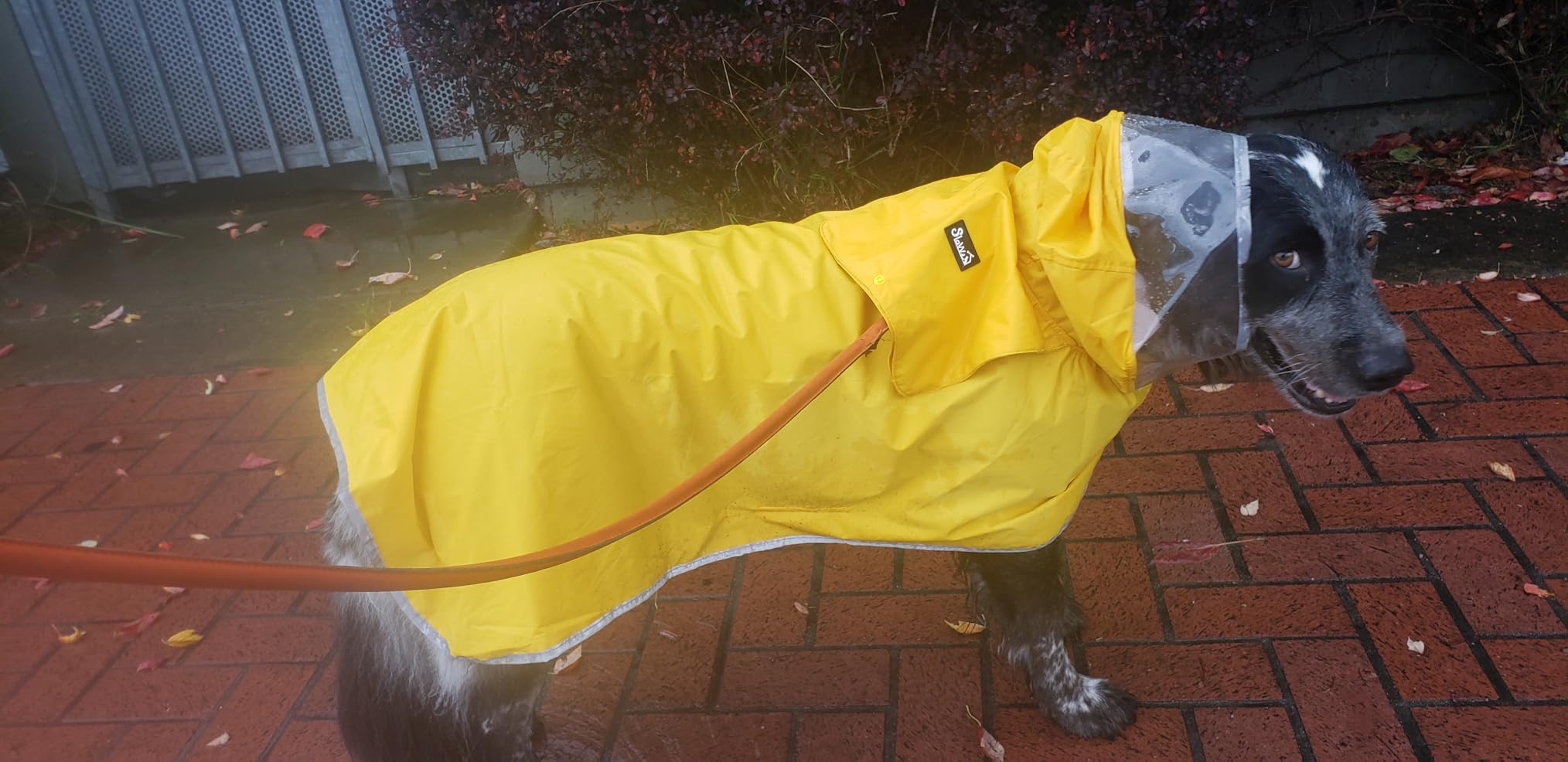 Lukovee Dog Raincoat, Adjustable Dog Rain Jacket with Clear Hooded Double Layer for Large Medium Small Dogs Puppies, Waterproof Rain Coat Poncho with Reflective Storage Pocket & Rim customer photo 2