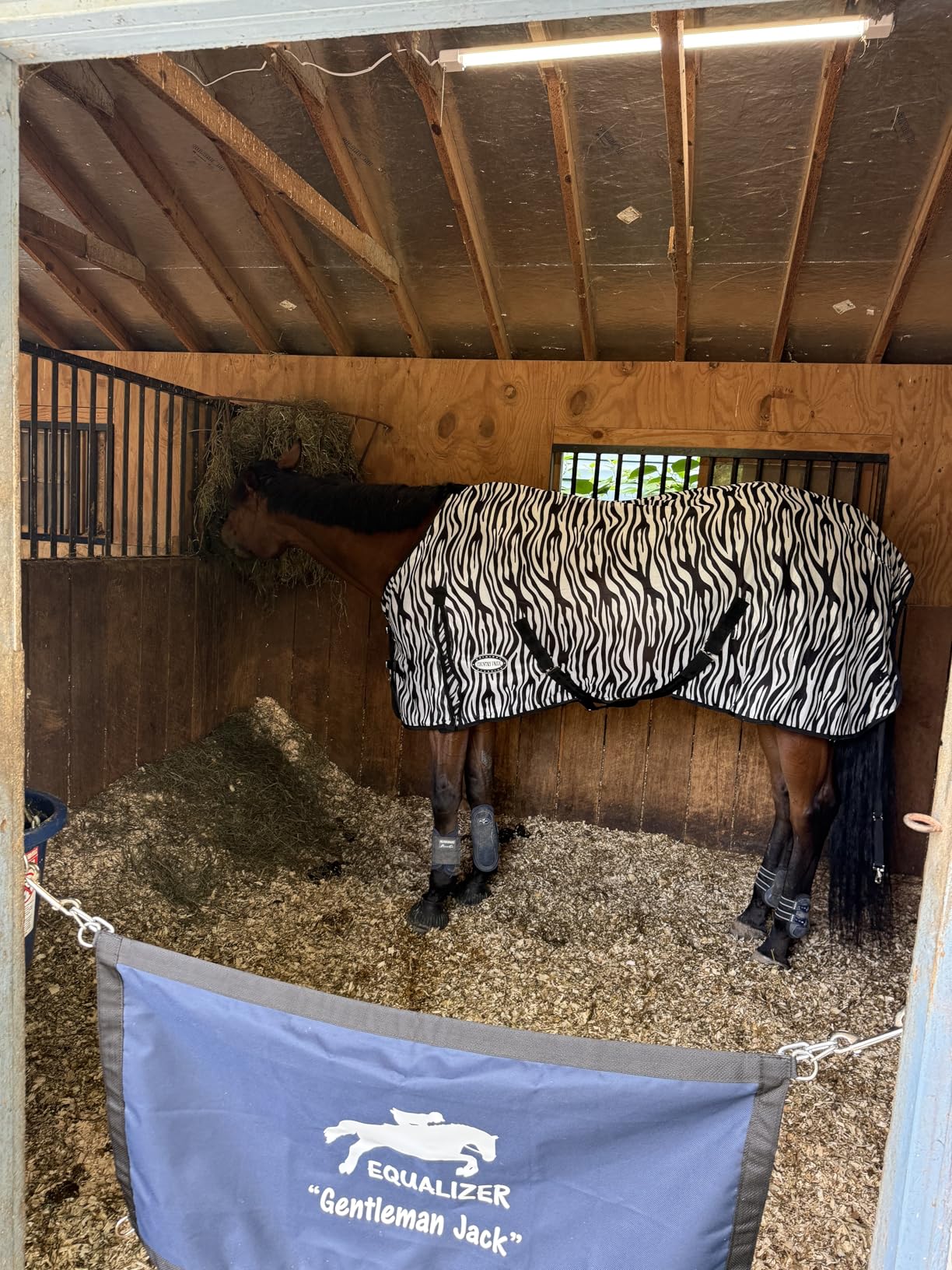 Country Pride Zebra Print Soft Mesh Fly Sheet for Horses, Summer Insect Protection, Adjustable Double Buckle Front, Shoulder Gussets, Removable Leg Straps, Breathable Mesh Horse Blanket customer photo 2