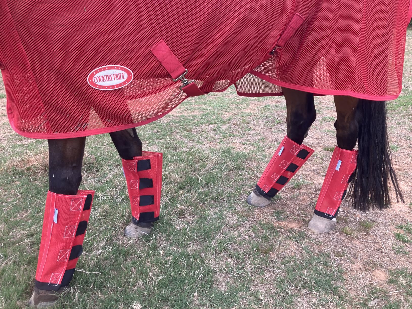Country Pride Lightweight Fly Sheet Scrim, Breathable Mesh Fly Protection, Double Surcingle Open Front, Bias Surcingle and Tail Cord, Indoor and Trailer Use customer photo 2
